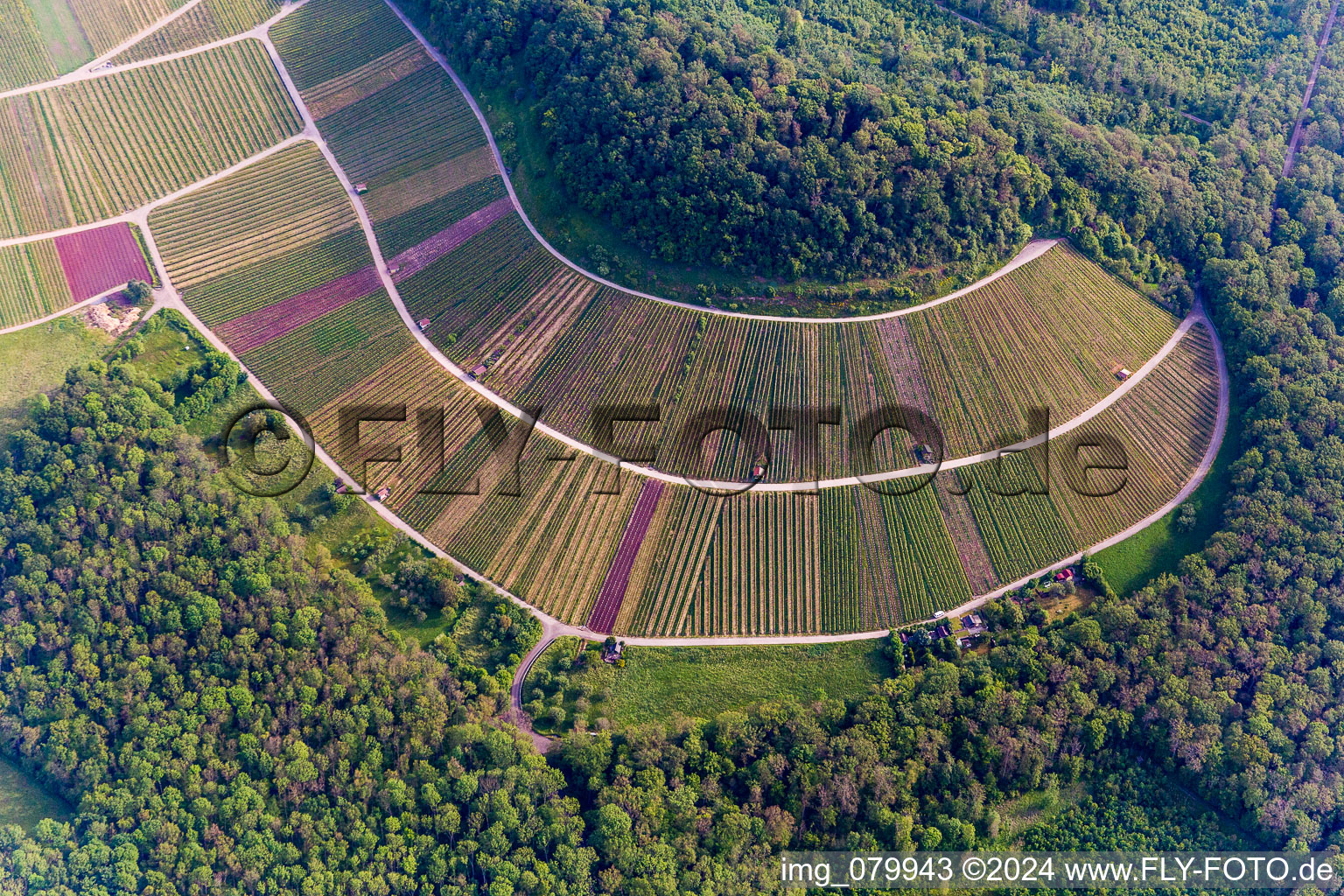 Photographie aérienne de Paysage viticole "Wilder Frit à Sternenfels dans le département Bade-Wurtemberg, Allemagne