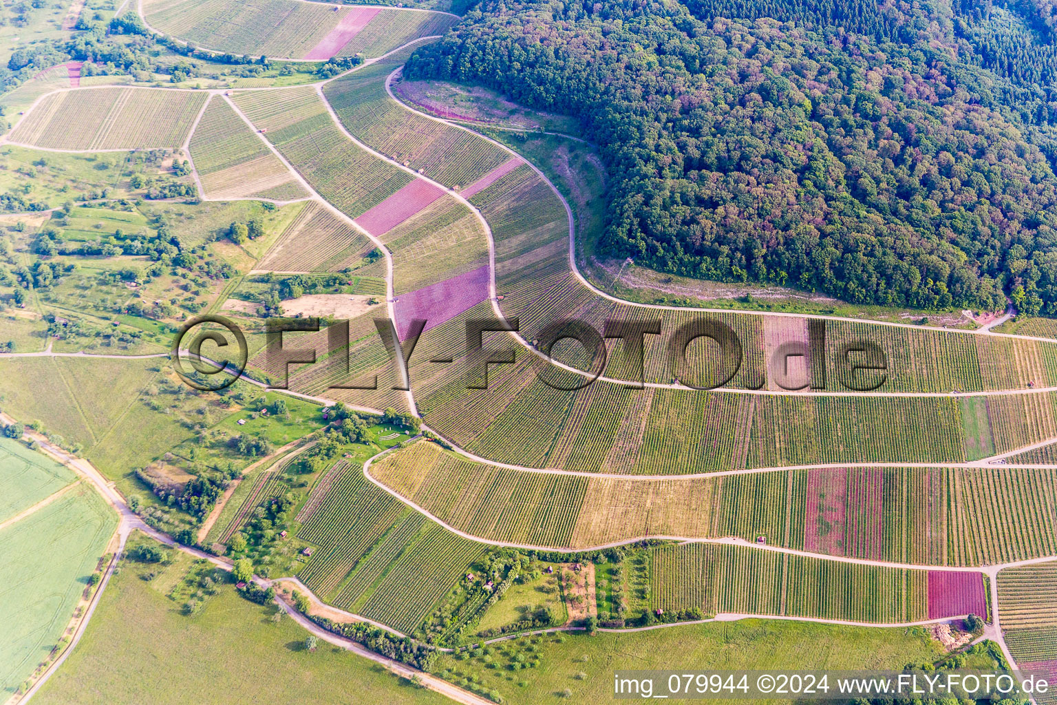 Vue oblique de Paysage viticole "Wilder Frit à Sternenfels dans le département Bade-Wurtemberg, Allemagne