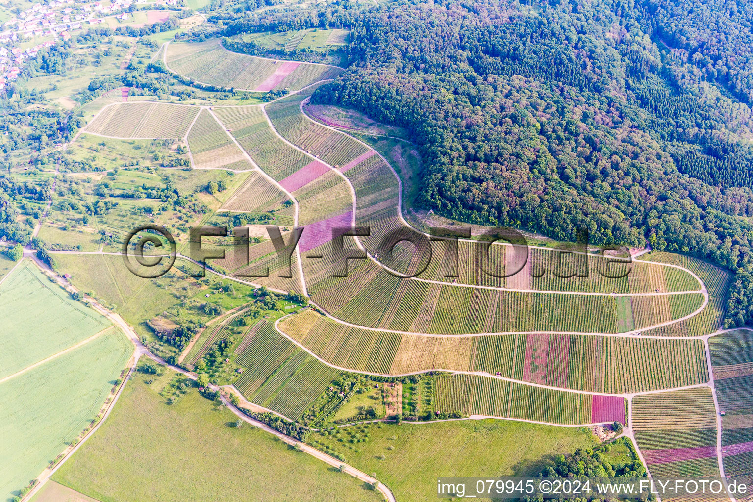 Vue oblique de Paysage viticole "Wilder Fritz à Sternenfels dans le département Bade-Wurtemberg, Allemagne