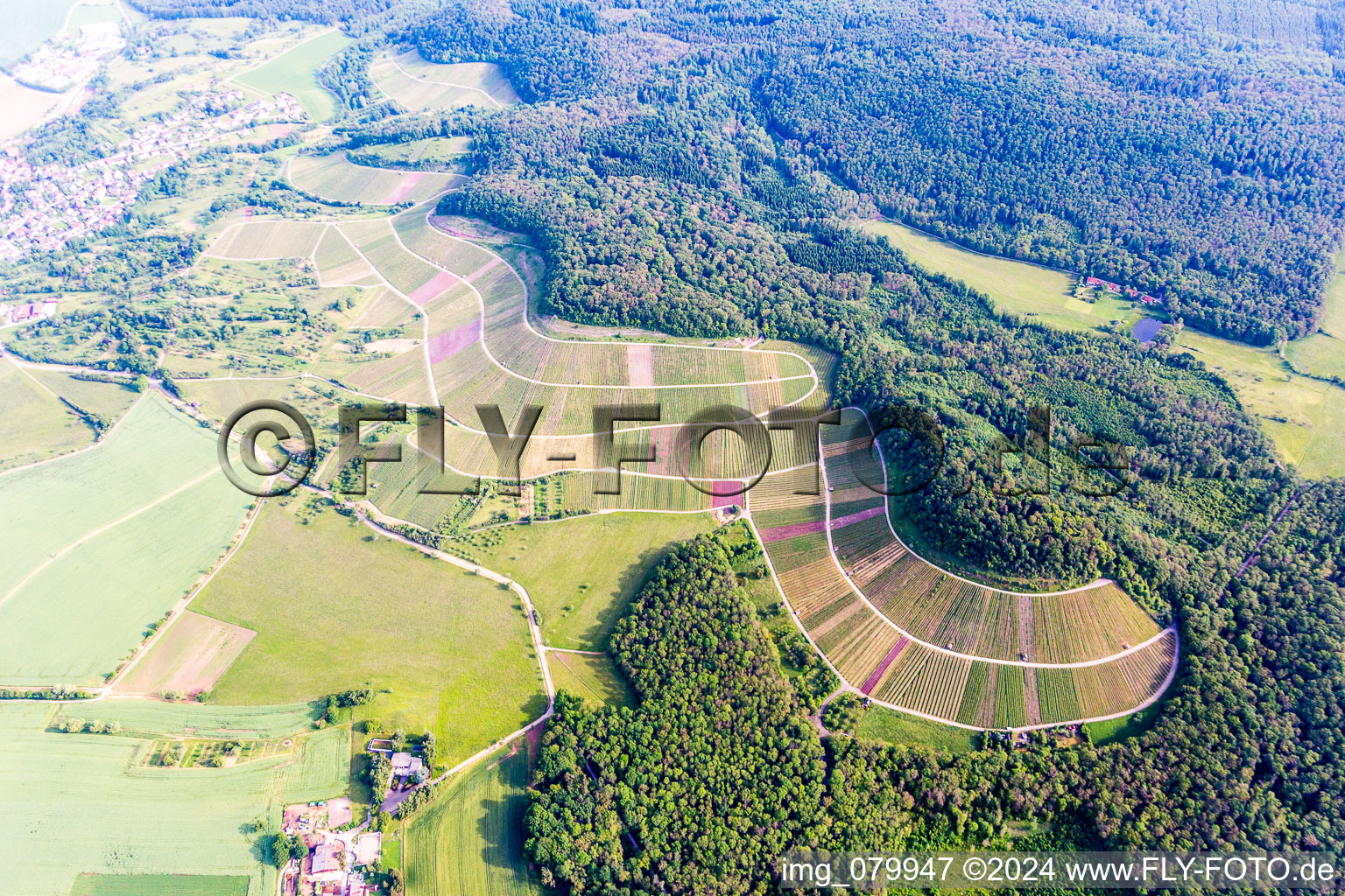 Paysage viticole "Wilder Frit à Sternenfels dans le département Bade-Wurtemberg, Allemagne hors des airs