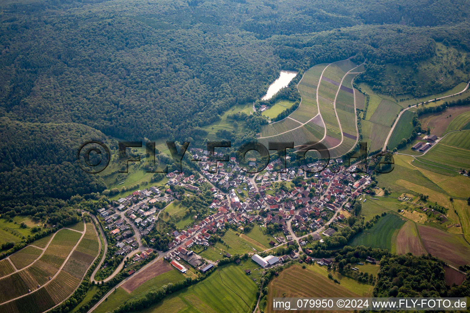 Photographie aérienne de Quartier Häfnerhaslach in Sachsenheim dans le département Bade-Wurtemberg, Allemagne