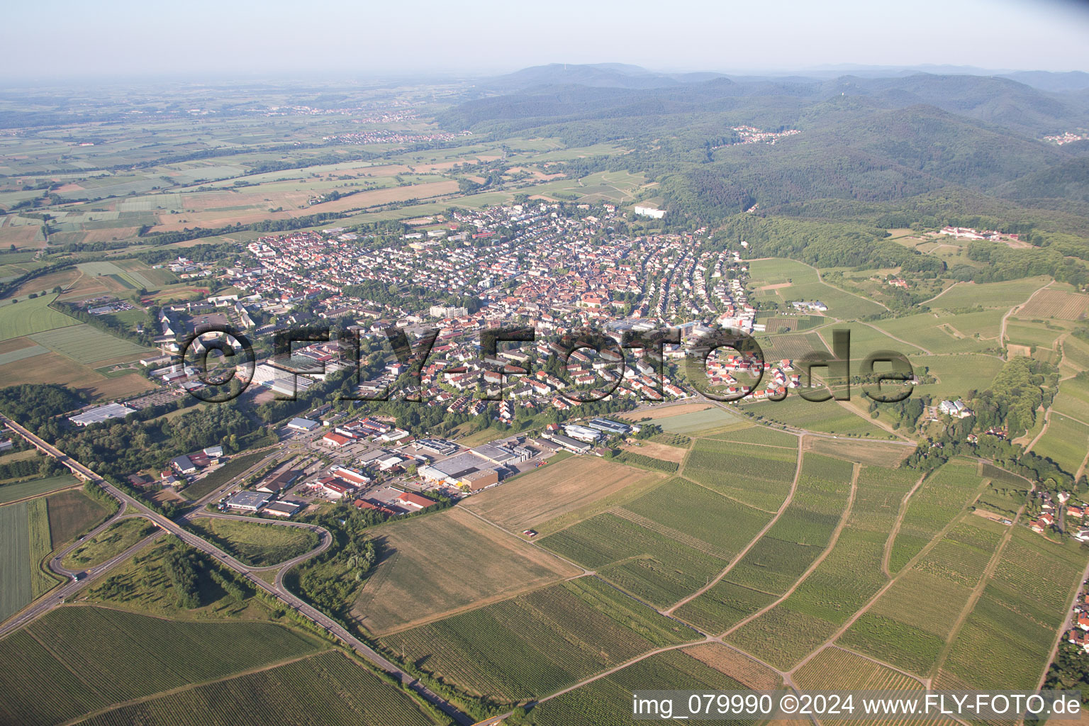 Bad Bergzabern dans le département Rhénanie-Palatinat, Allemagne du point de vue du drone