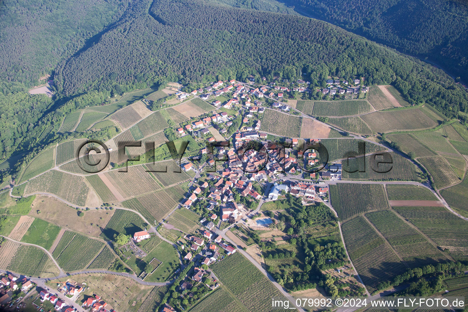 Photographie aérienne de Quartier Gleiszellen in Gleiszellen-Gleishorbach dans le département Rhénanie-Palatinat, Allemagne