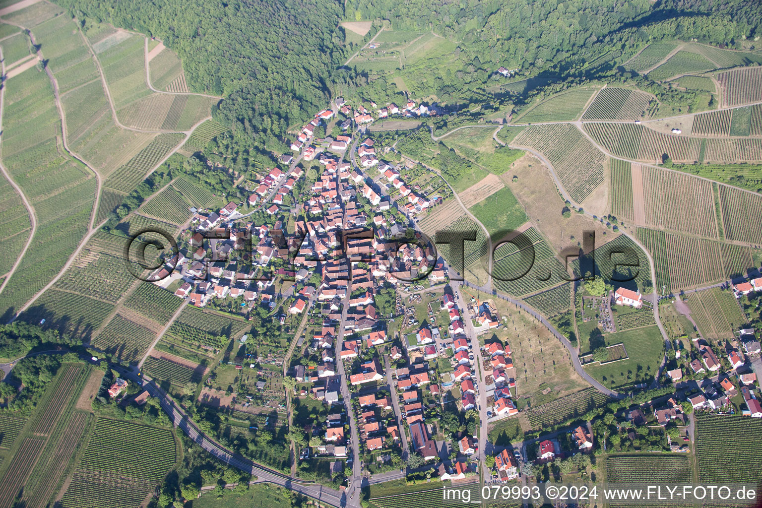 Photographie aérienne de Quartier Gleishorbach in Gleiszellen-Gleishorbach dans le département Rhénanie-Palatinat, Allemagne