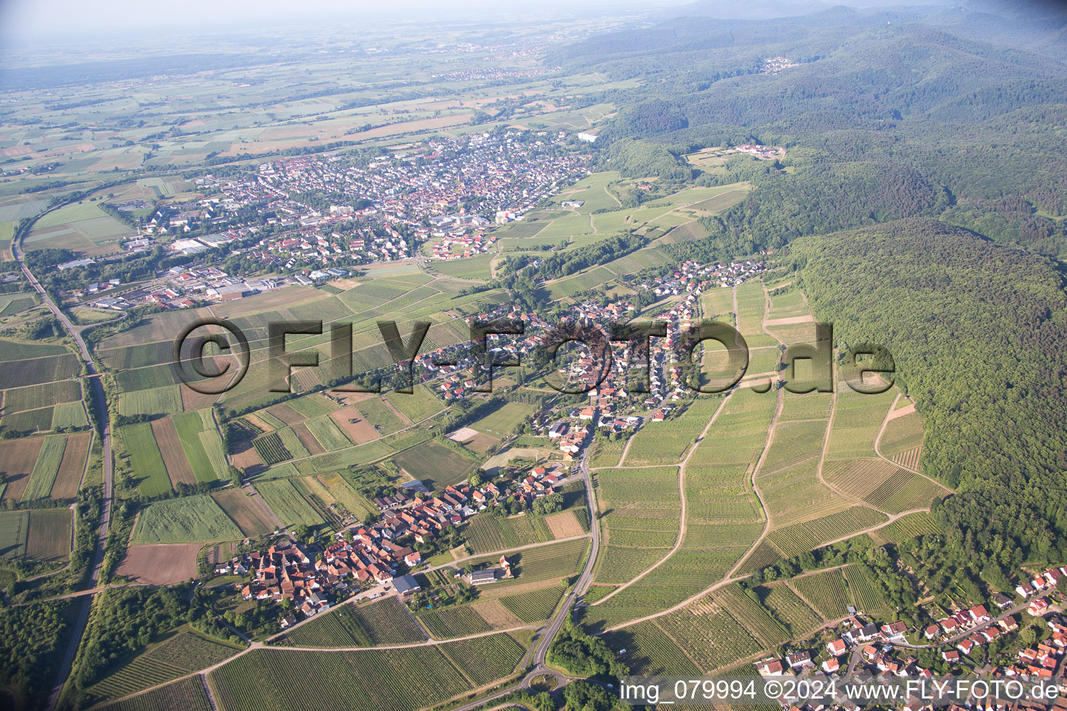 Vue aérienne de Quartier Pleisweiler in Pleisweiler-Oberhofen dans le département Rhénanie-Palatinat, Allemagne