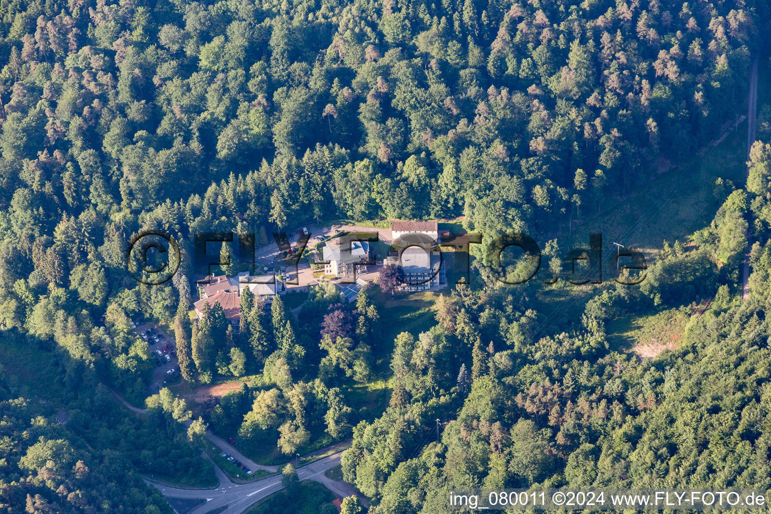 Vue aérienne de Clinique Celenus Park à Bad Bergzabern dans le département Rhénanie-Palatinat, Allemagne