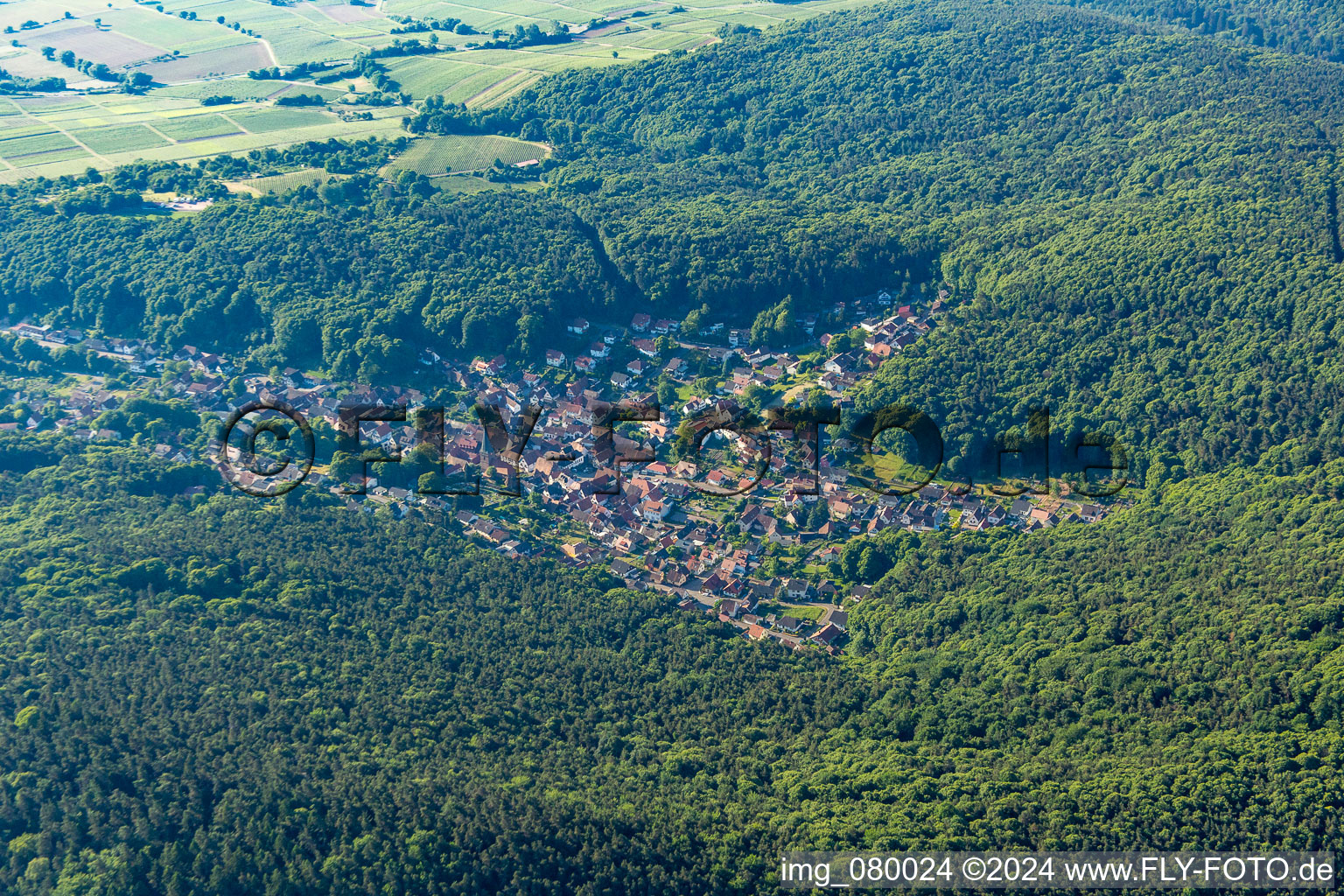 Dörrenbach dans le département Rhénanie-Palatinat, Allemagne du point de vue du drone