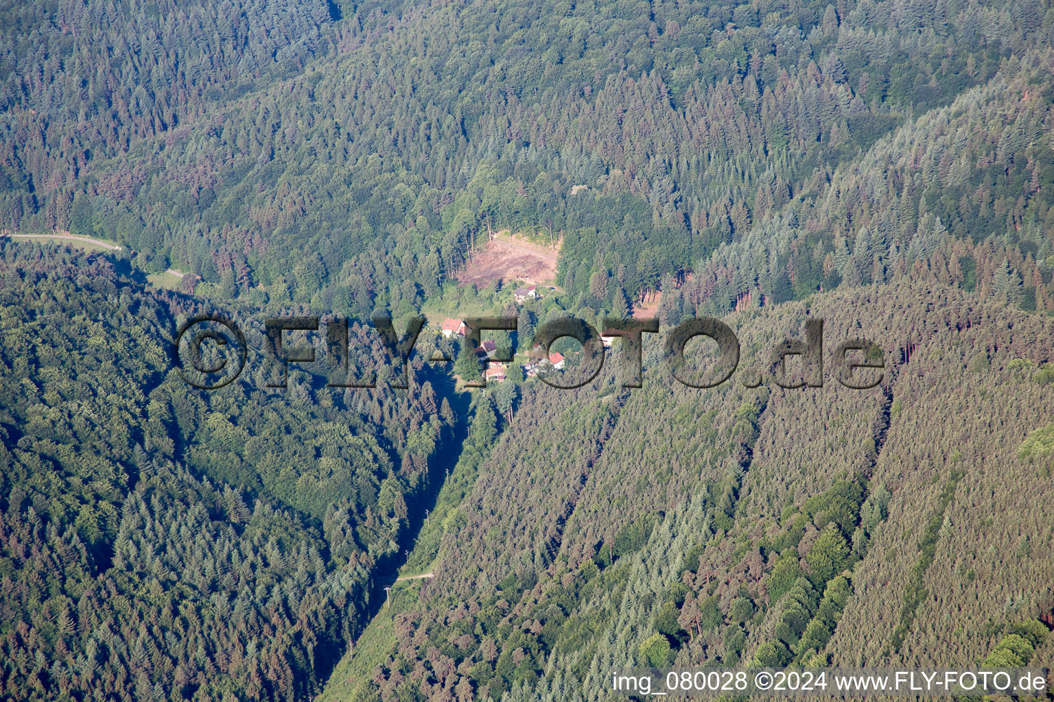 Böllenborn dans le département Rhénanie-Palatinat, Allemagne vue d'en haut