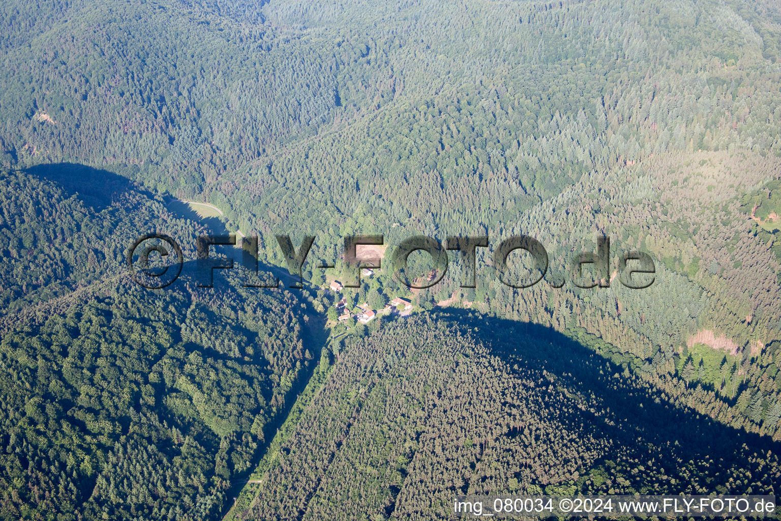 Vue aérienne de Reisdorf dans le département Rhénanie-Palatinat, Allemagne