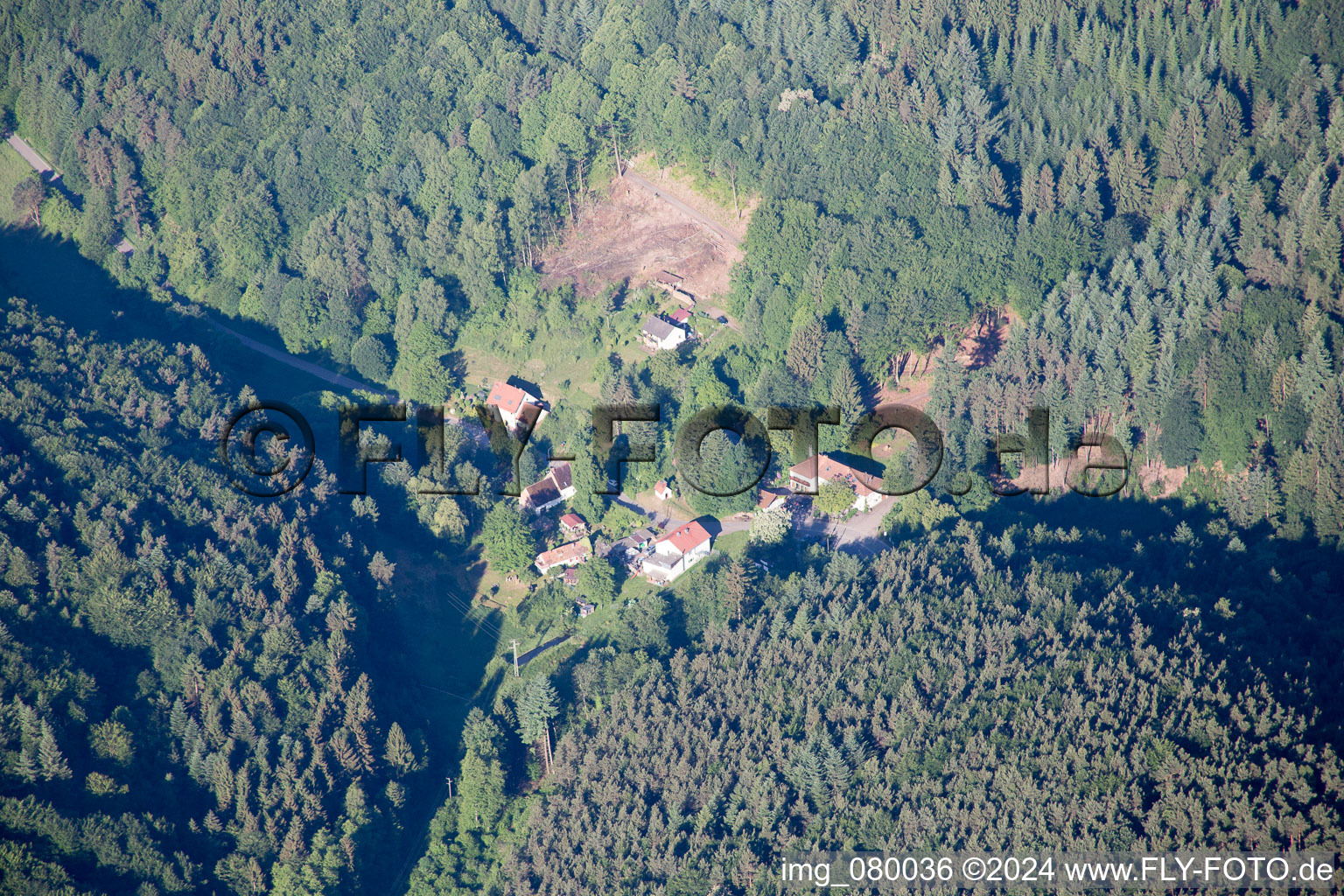 Vue aérienne de Reisdorf dans le département Rhénanie-Palatinat, Allemagne