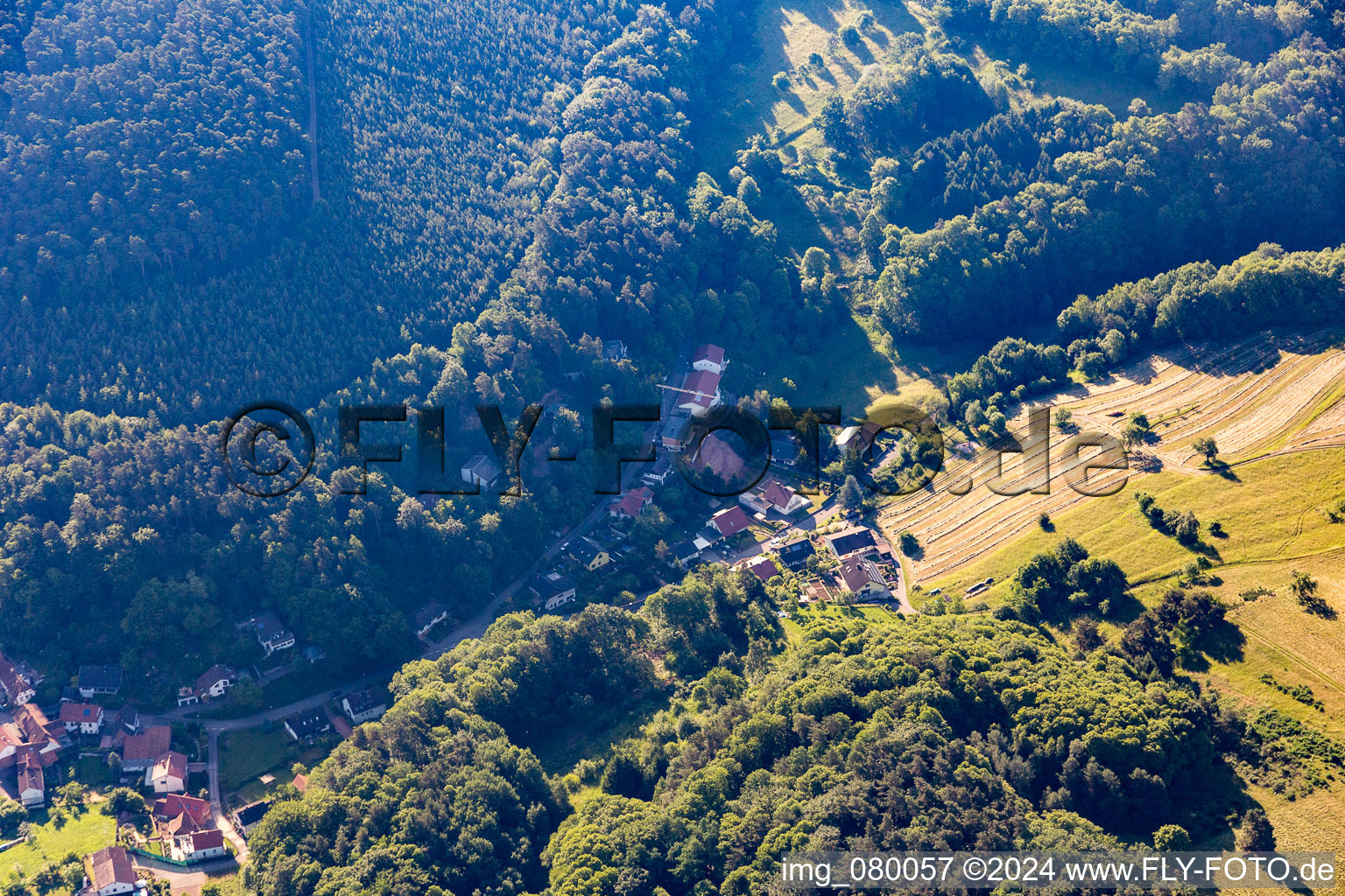 Vue aérienne de Quartier Blankenborn in Bad Bergzabern dans le département Rhénanie-Palatinat, Allemagne