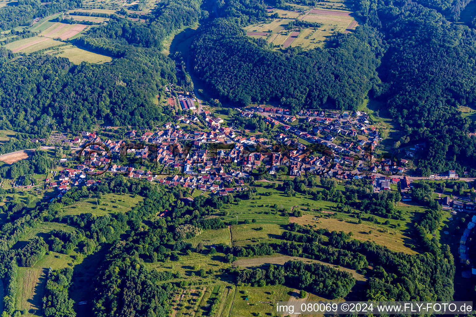 Vue aérienne de Dans la forêt du Palatinat à Silz dans le département Rhénanie-Palatinat, Allemagne