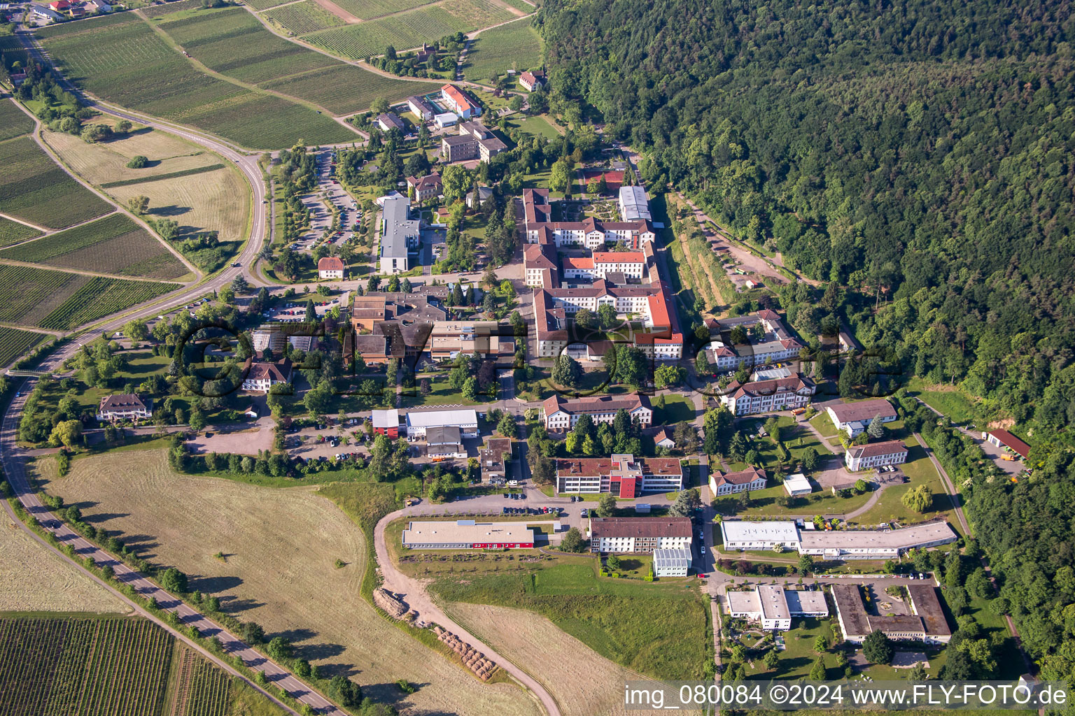 Vue aérienne de Terrain hospitalier de la clinique de psychiatrie et de psychothérapie pour enfants et adolescents du quartier Pfalzklinik Landeck à Klingenmünster dans le département Rhénanie-Palatinat, Allemagne