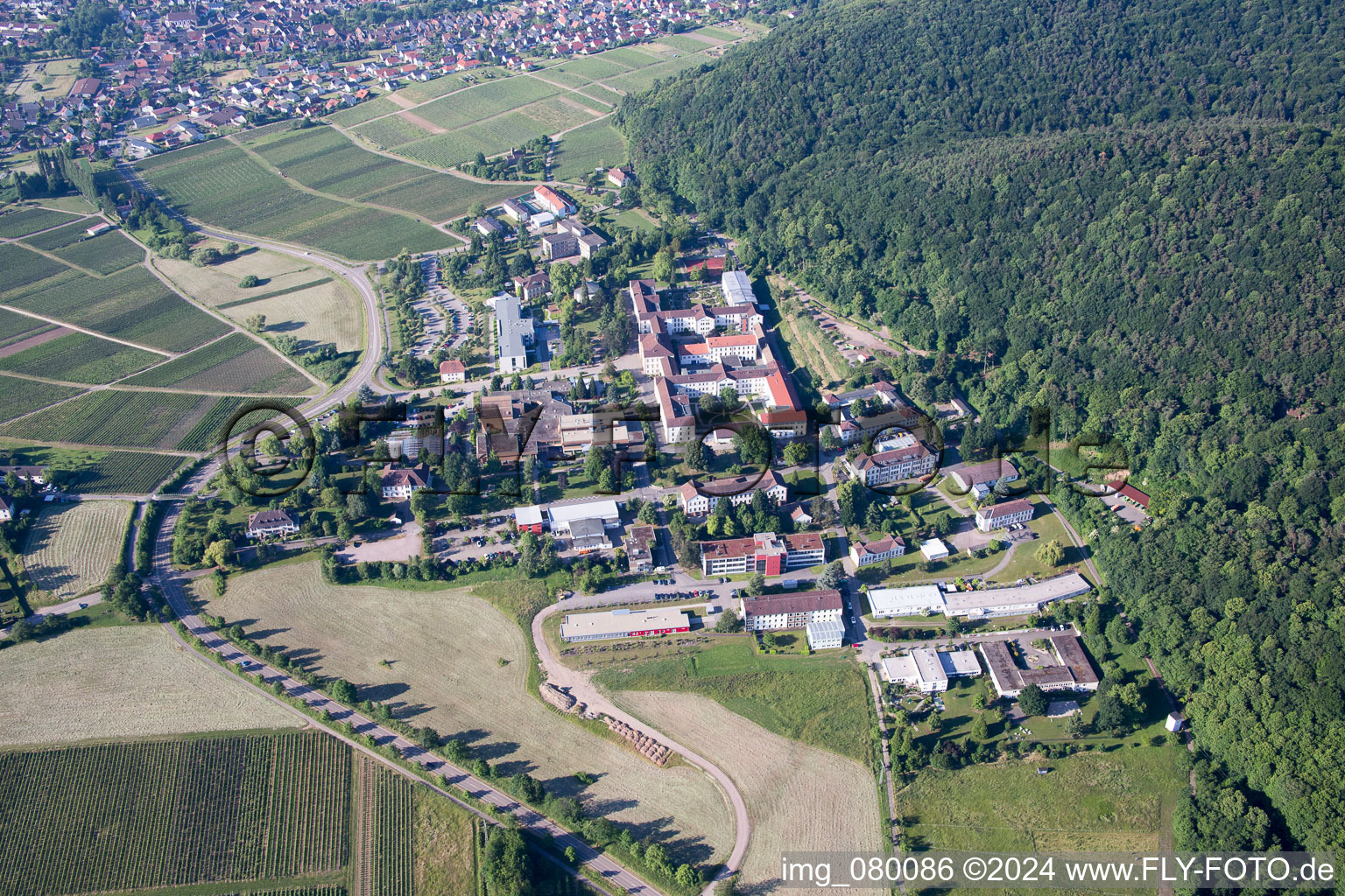 Klingenmünster dans le département Rhénanie-Palatinat, Allemagne d'en haut