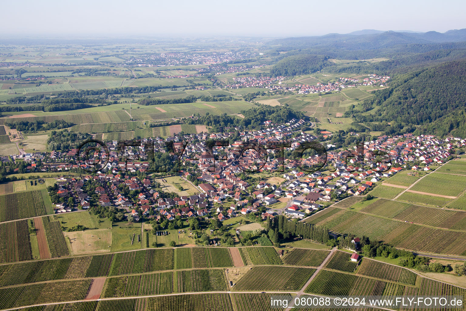 Klingenmünster dans le département Rhénanie-Palatinat, Allemagne vue d'en haut