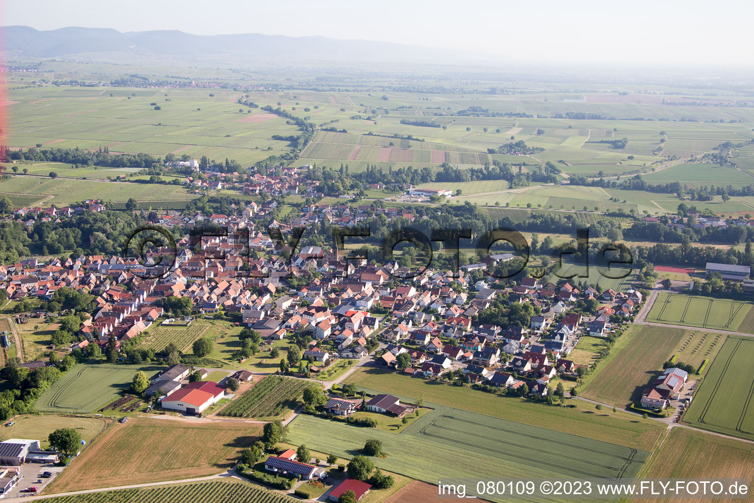 Quartier Ingenheim in Billigheim-Ingenheim dans le département Rhénanie-Palatinat, Allemagne d'un drone