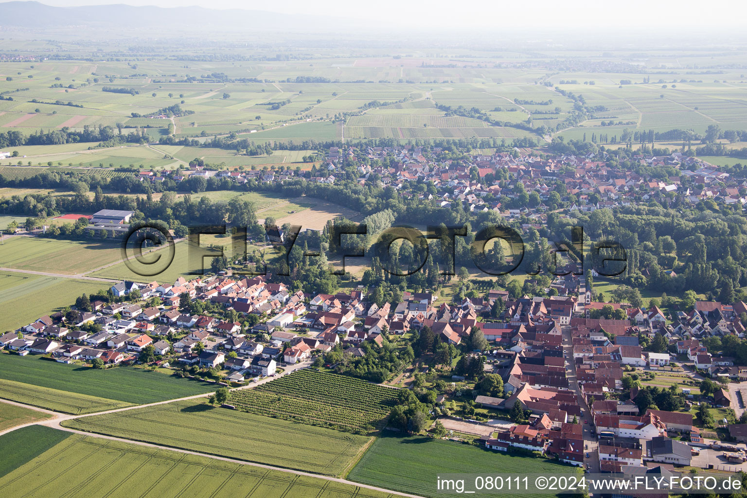 Vue oblique de Quartier Billigheim in Billigheim-Ingenheim dans le département Rhénanie-Palatinat, Allemagne