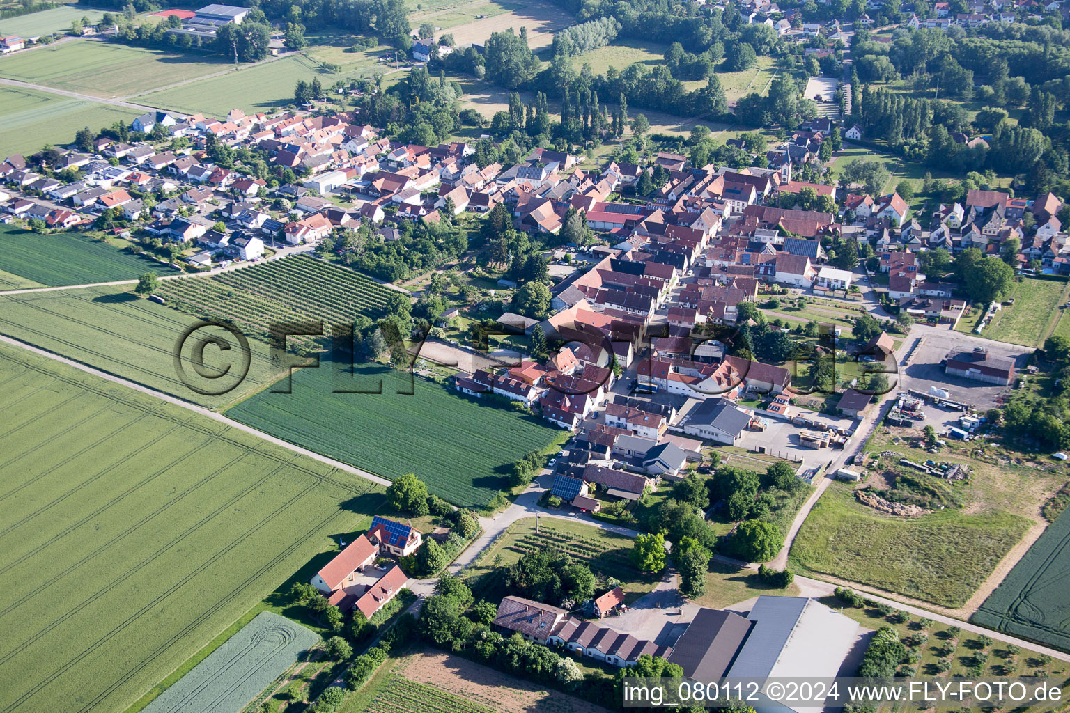 Vue aérienne de Vue des rues et des maisons des quartiers résidentiels à le quartier Mühlhofen in Billigheim-Ingenheim dans le département Rhénanie-Palatinat, Allemagne