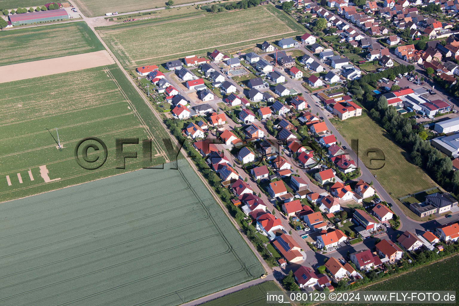 Steinweiler dans le département Rhénanie-Palatinat, Allemagne depuis l'avion