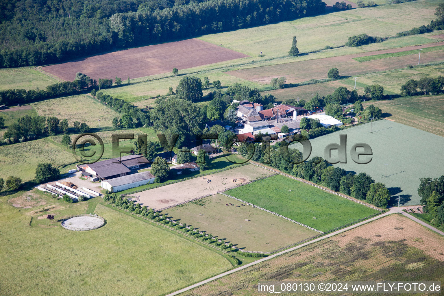 Vue d'oiseau de Steinweiler dans le département Rhénanie-Palatinat, Allemagne