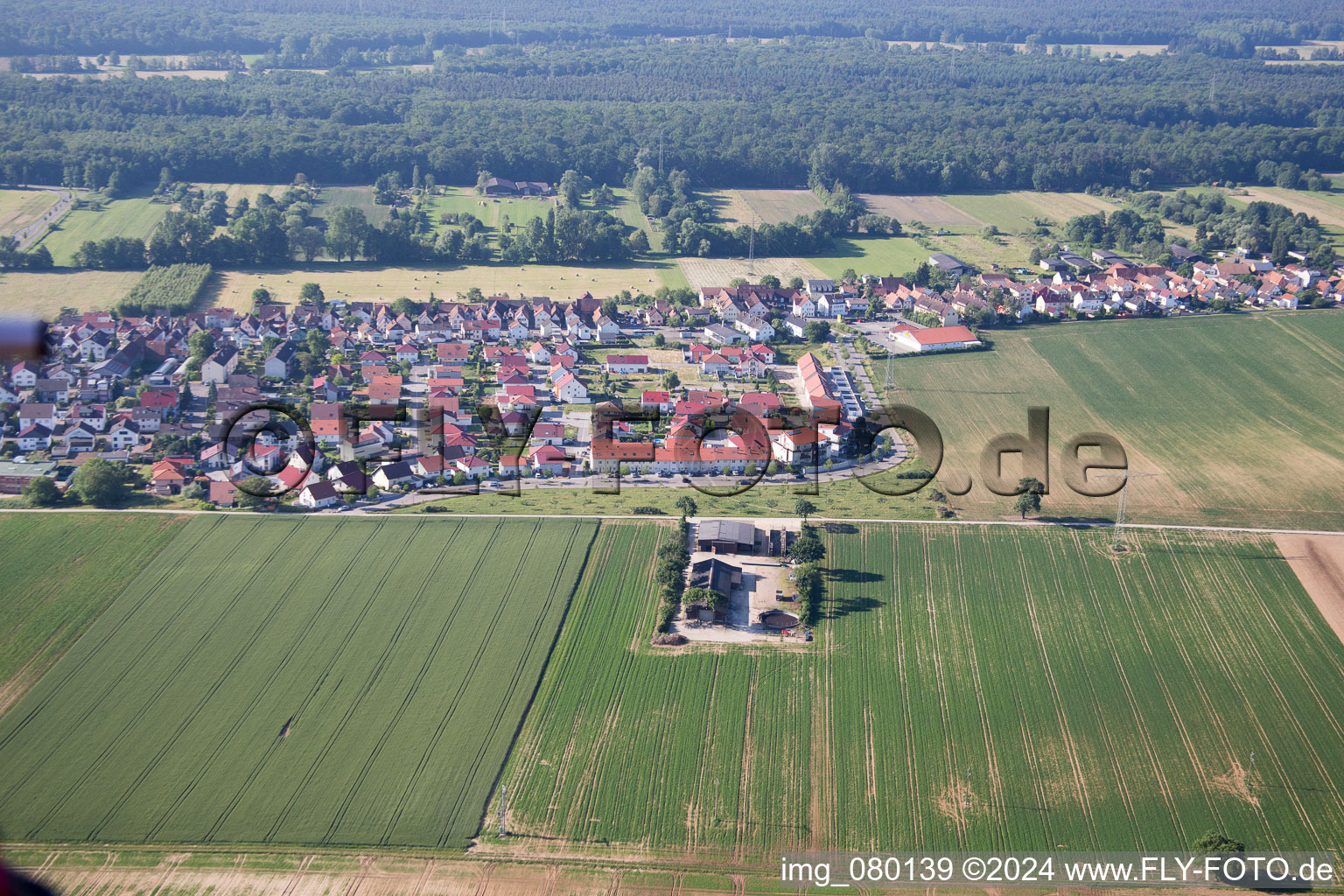 Vue aérienne de Chemin élevé à Kandel dans le département Rhénanie-Palatinat, Allemagne