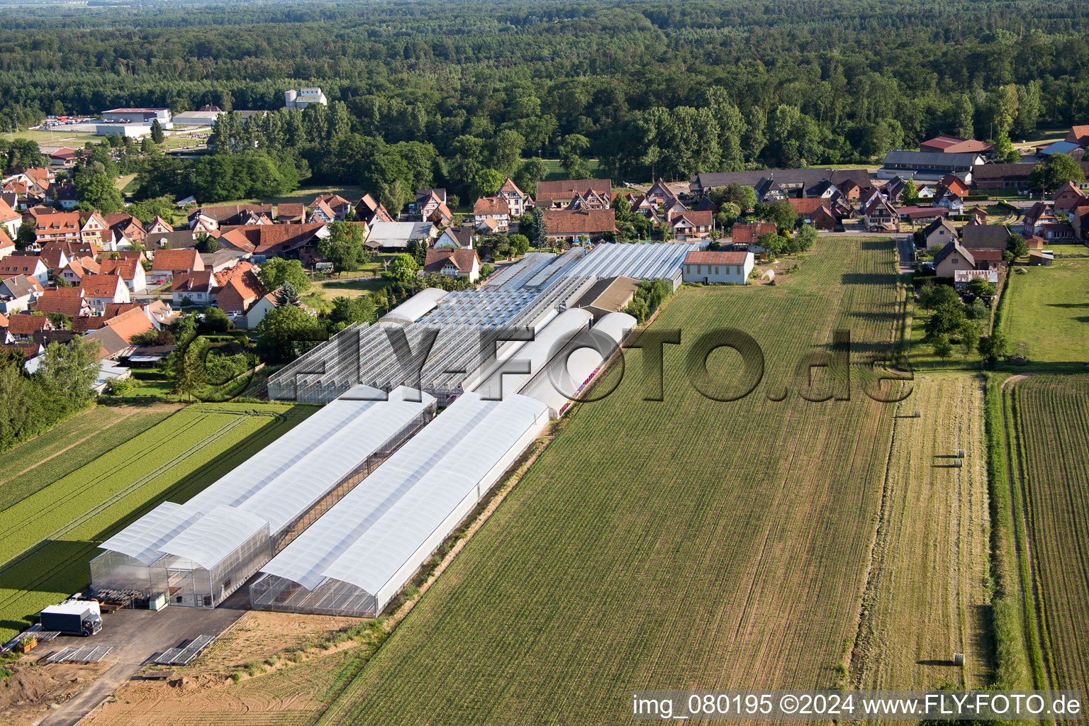 Photographie aérienne de Niederrœdern dans le département Bas Rhin, France