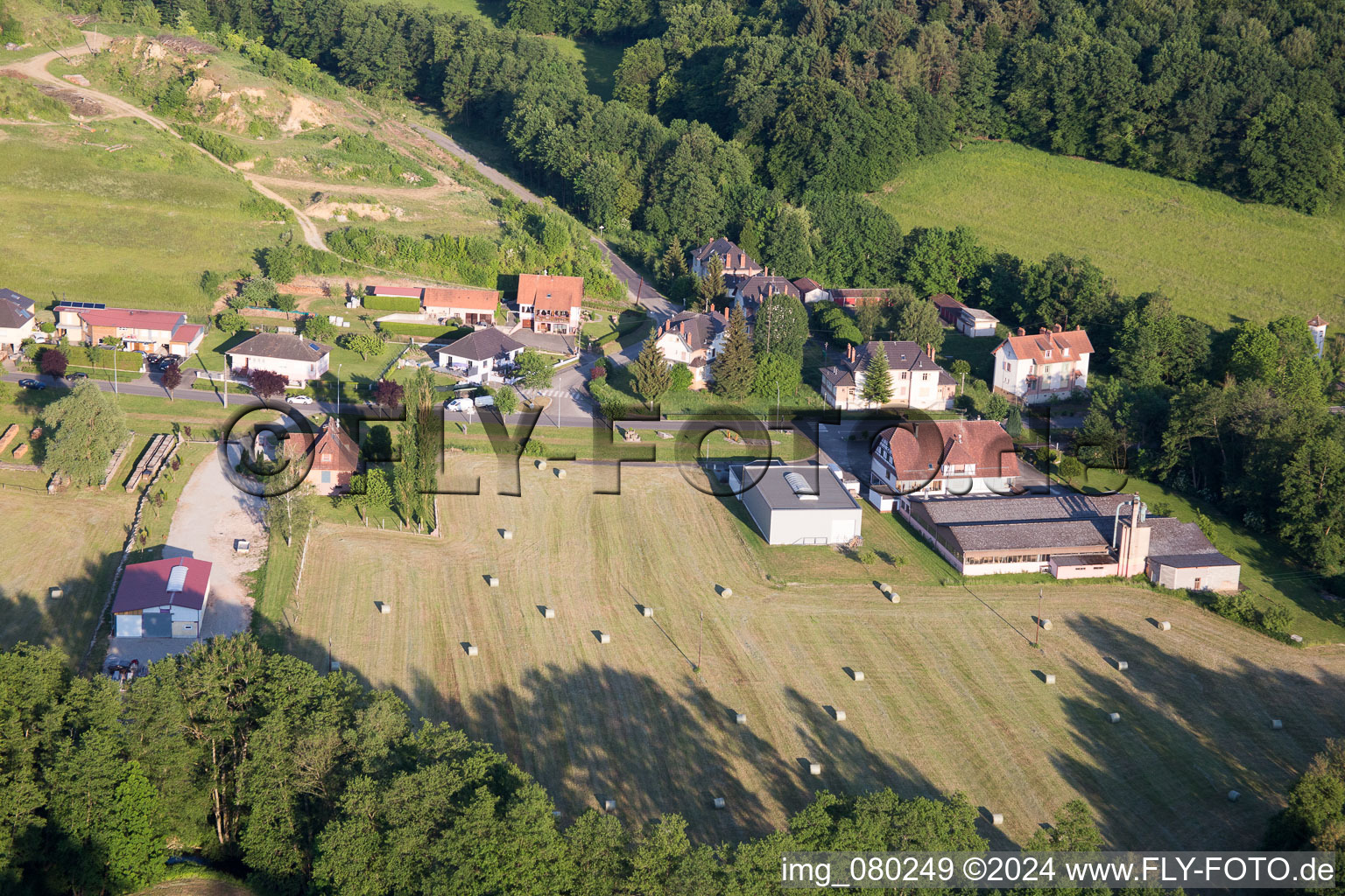 Lembach dans le département Bas Rhin, France d'en haut