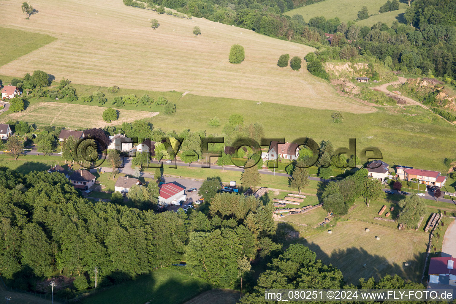 Lembach dans le département Bas Rhin, France vue d'en haut