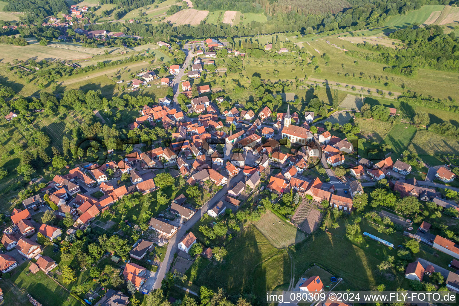 Vue aérienne de Champs agricoles et surfaces utilisables à Wingen dans le département Bas Rhin, France