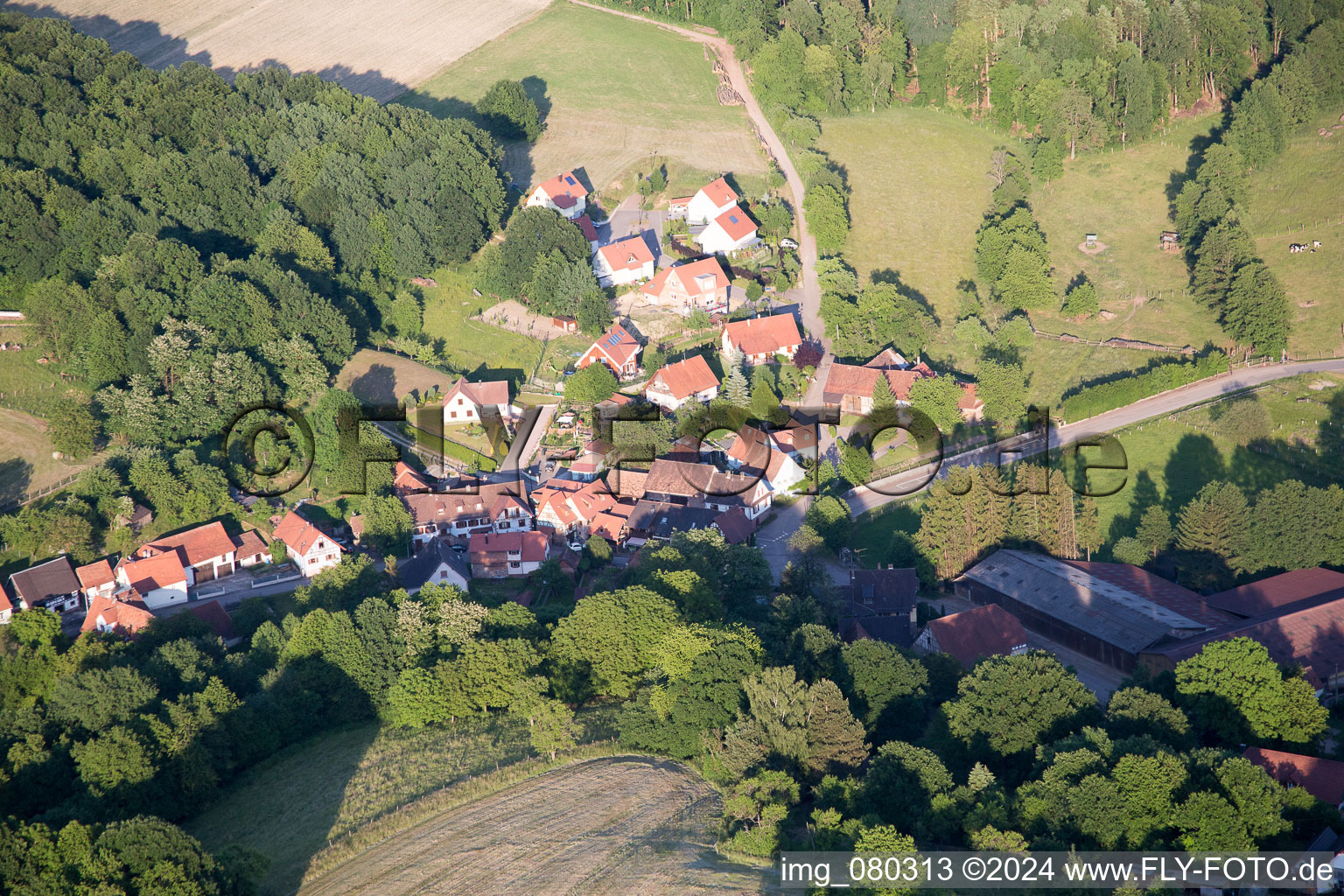 Wingen dans le département Bas Rhin, France depuis l'avion