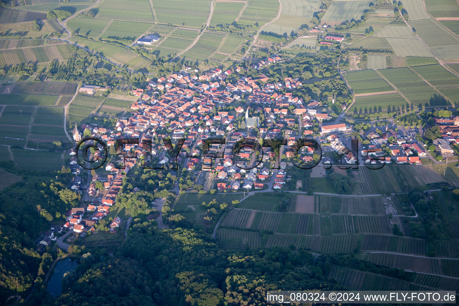 Vue aérienne de Quartier Schweigen in Schweigen-Rechtenbach dans le département Rhénanie-Palatinat, Allemagne