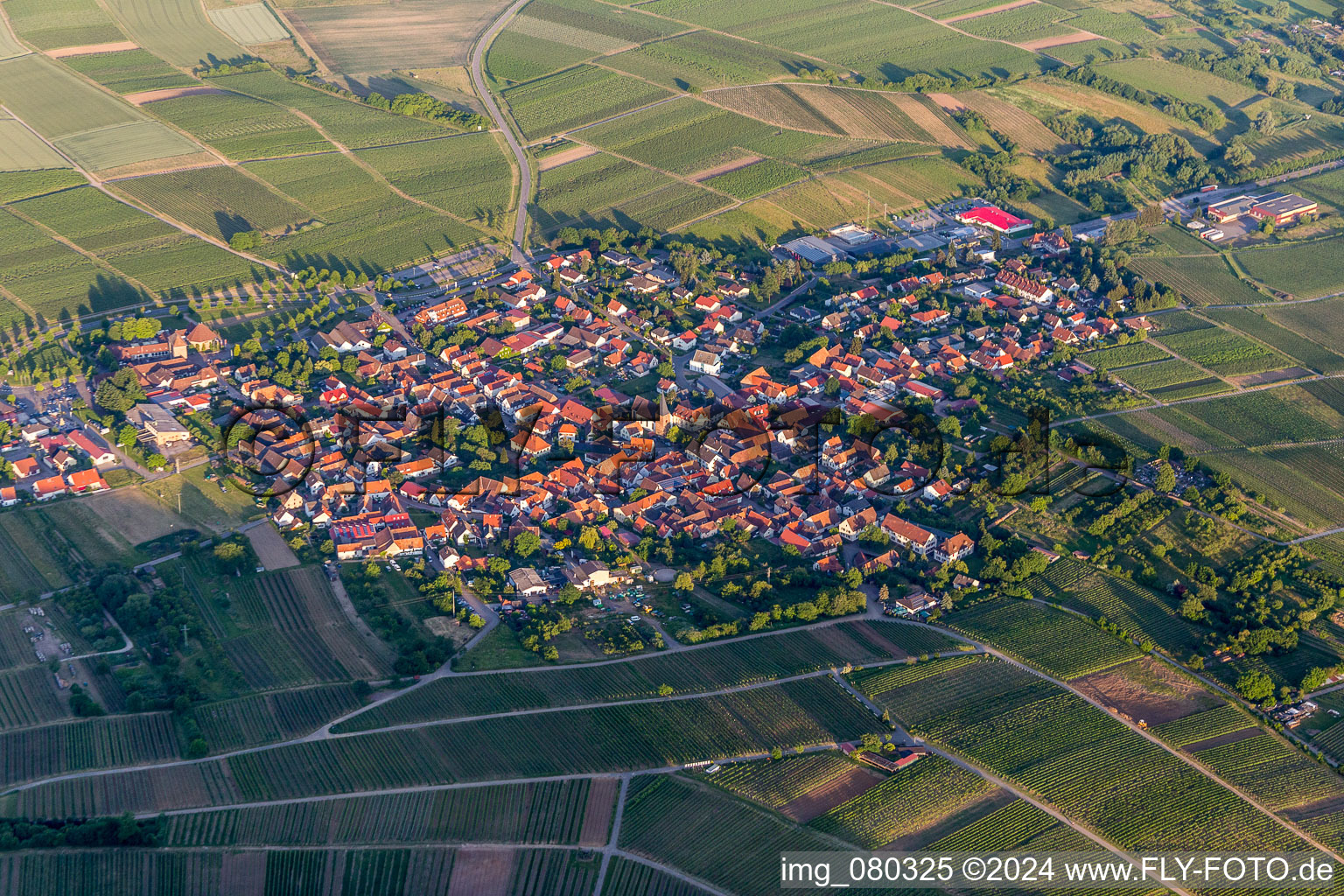 Vue aérienne de Vignobles en Schweigen à le quartier Schweigen in Schweigen-Rechtenbach dans le département Rhénanie-Palatinat, Allemagne