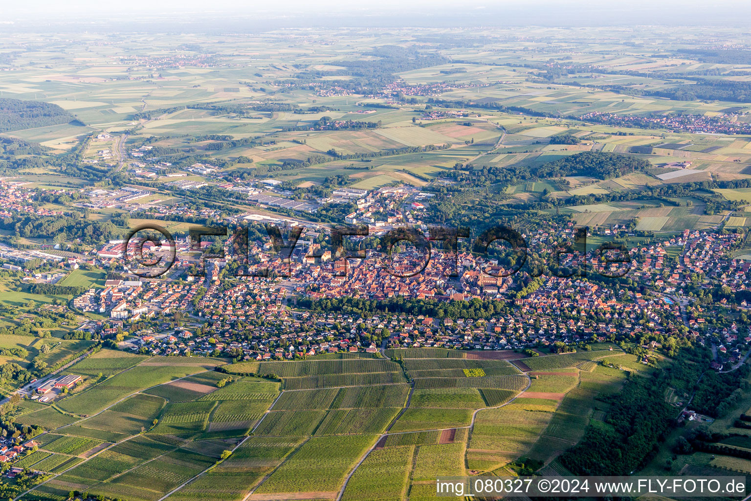 Vue aérienne de Vue de la ville derrière les vignobles du Sonnenberg, des rues et des maisons des quartiers résidentiels à Wissembourg dans le département Bas Rhin, France