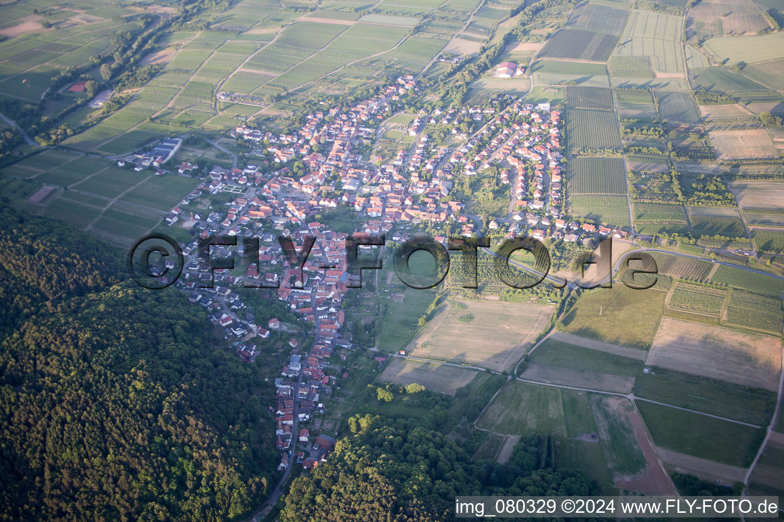 Vue d'oiseau de Oberotterbach dans le département Rhénanie-Palatinat, Allemagne