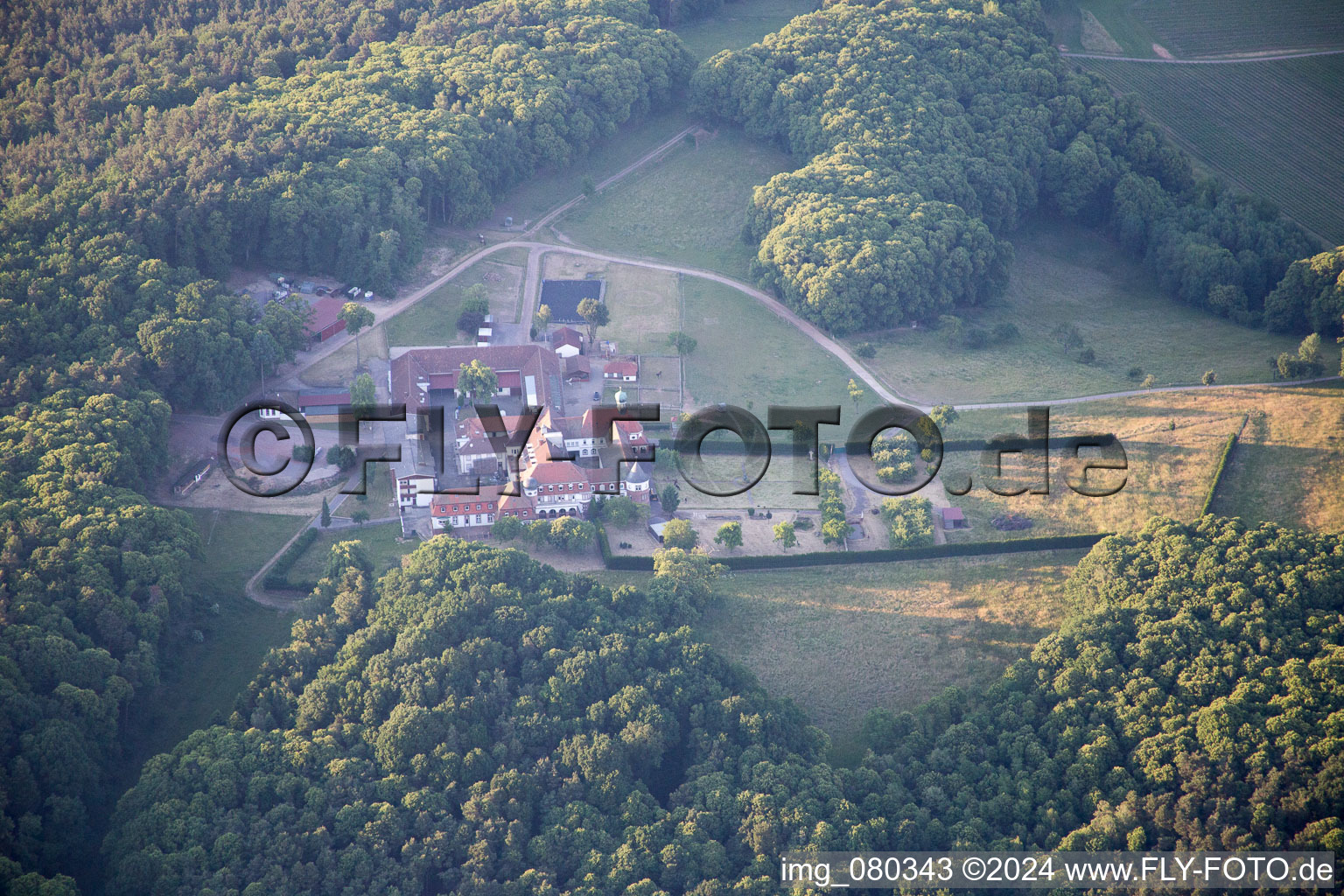 Bad Bergzabern dans le département Rhénanie-Palatinat, Allemagne depuis l'avion