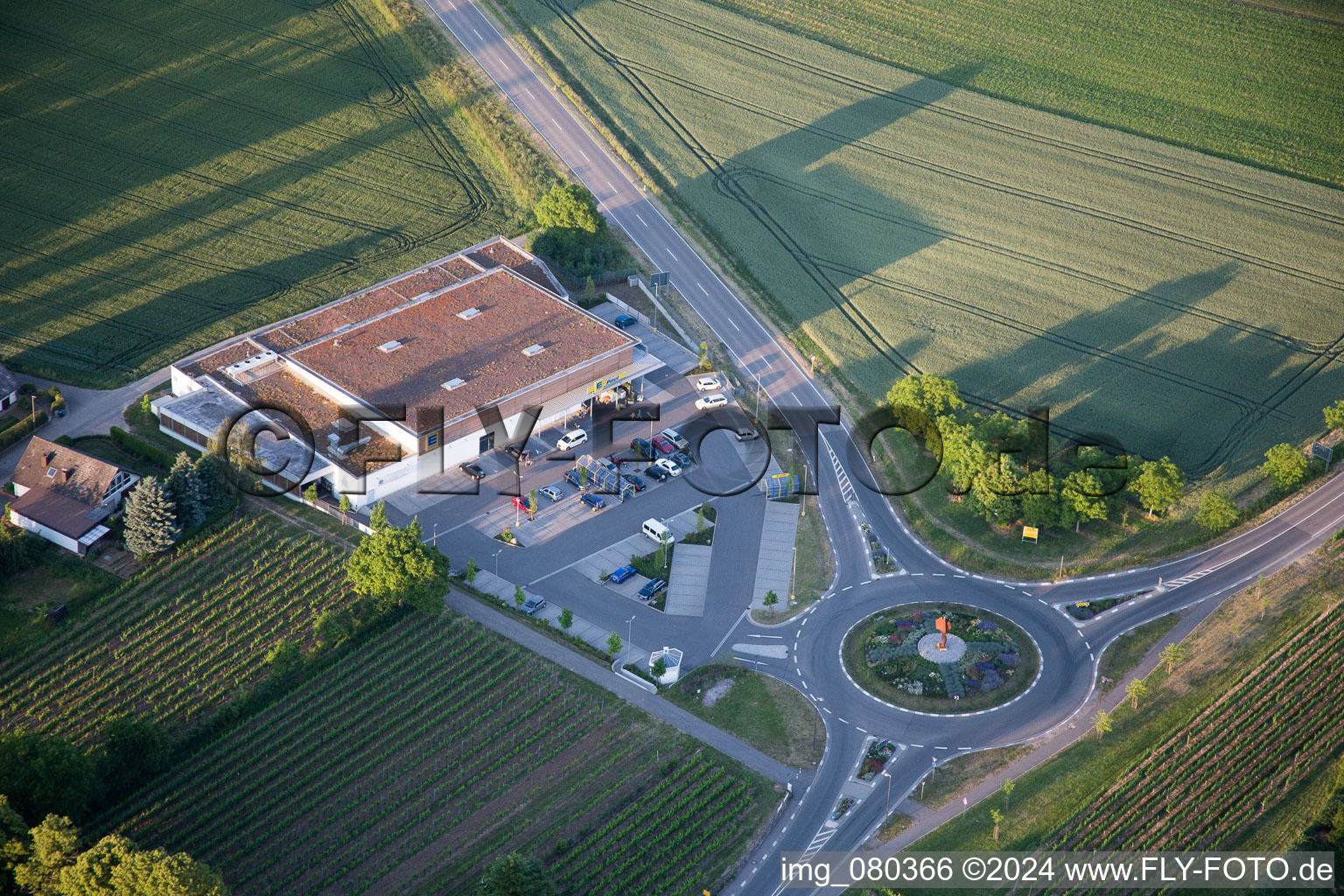 Vue d'oiseau de Quartier Appenhofen in Billigheim-Ingenheim dans le département Rhénanie-Palatinat, Allemagne