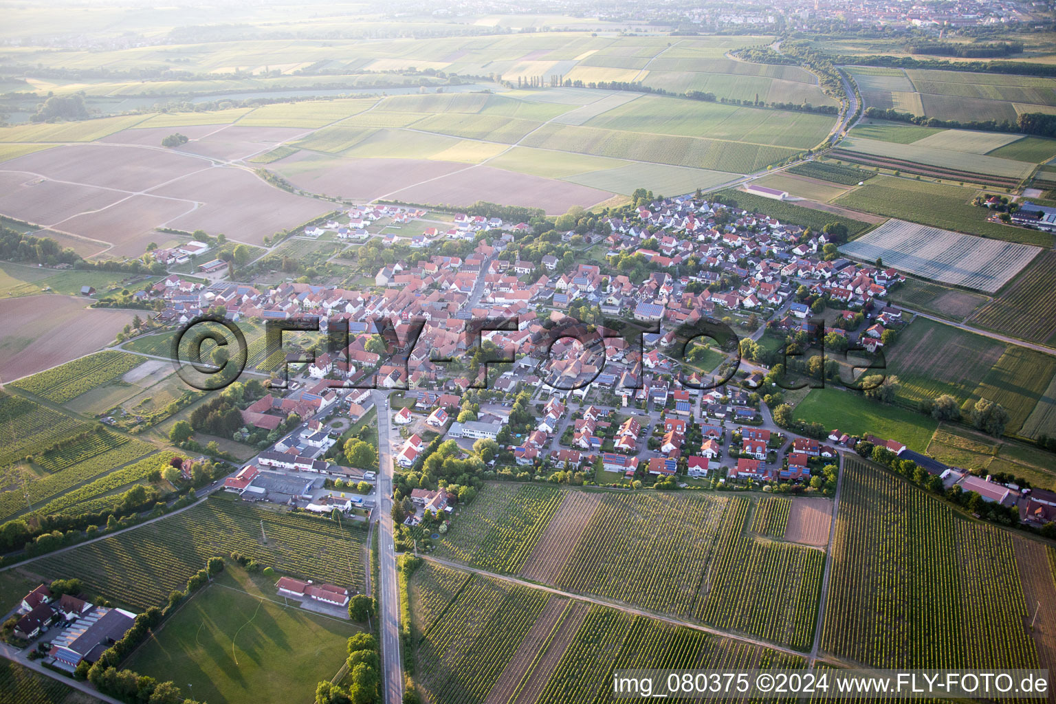 Vue aérienne de Impflingen dans le département Rhénanie-Palatinat, Allemagne