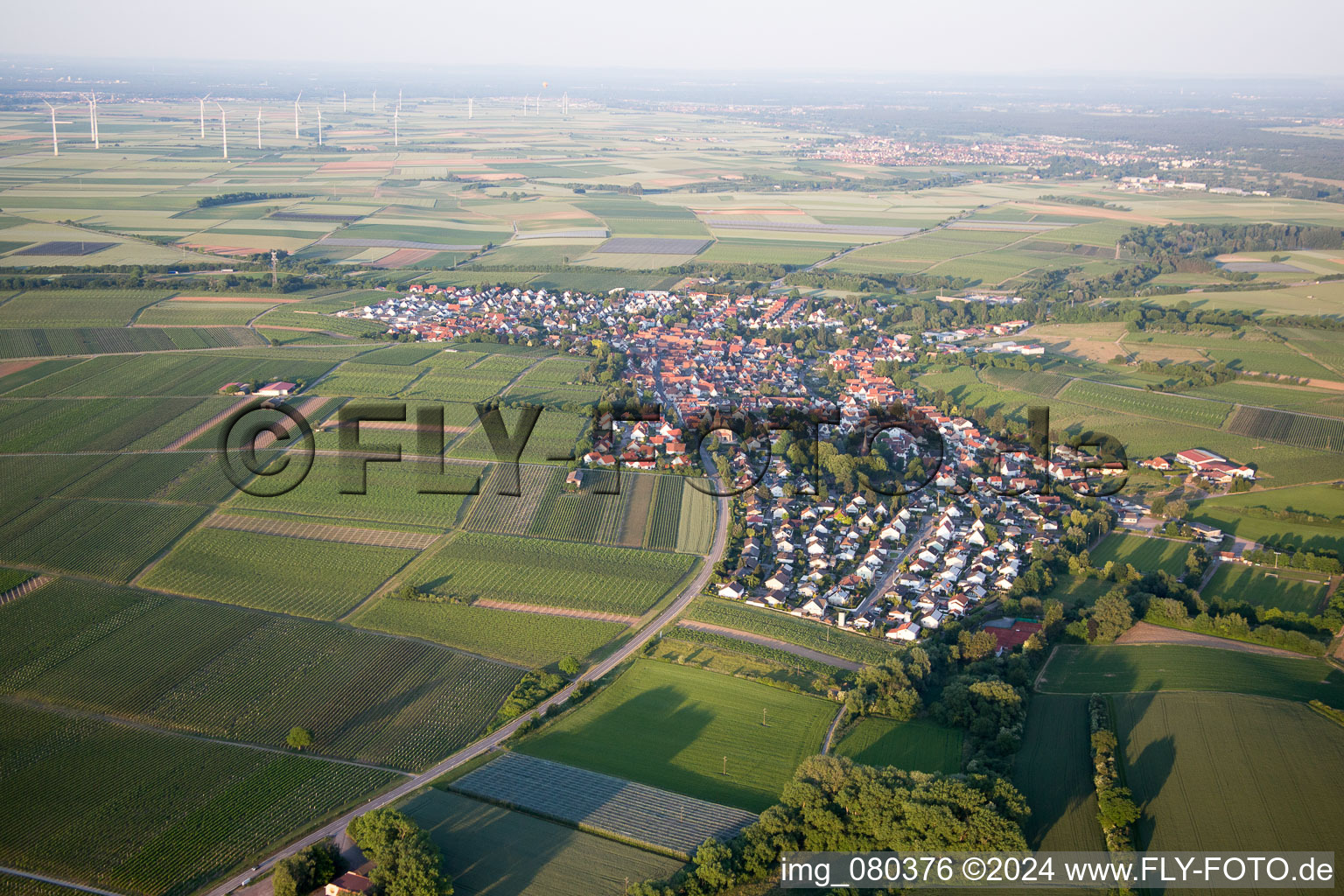 Vue aérienne de Insheim dans le département Rhénanie-Palatinat, Allemagne