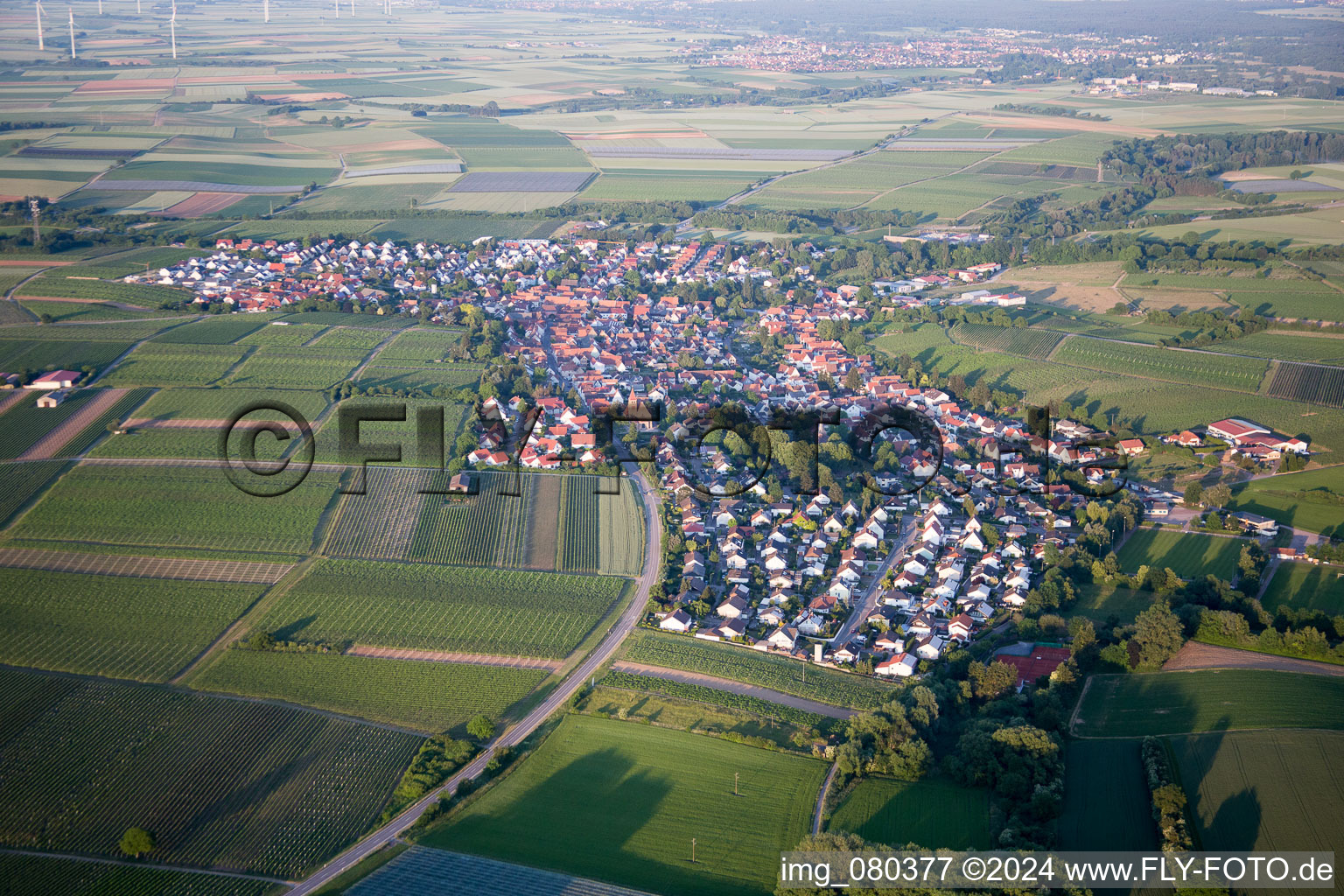 Vue aérienne de Insheim dans le département Rhénanie-Palatinat, Allemagne