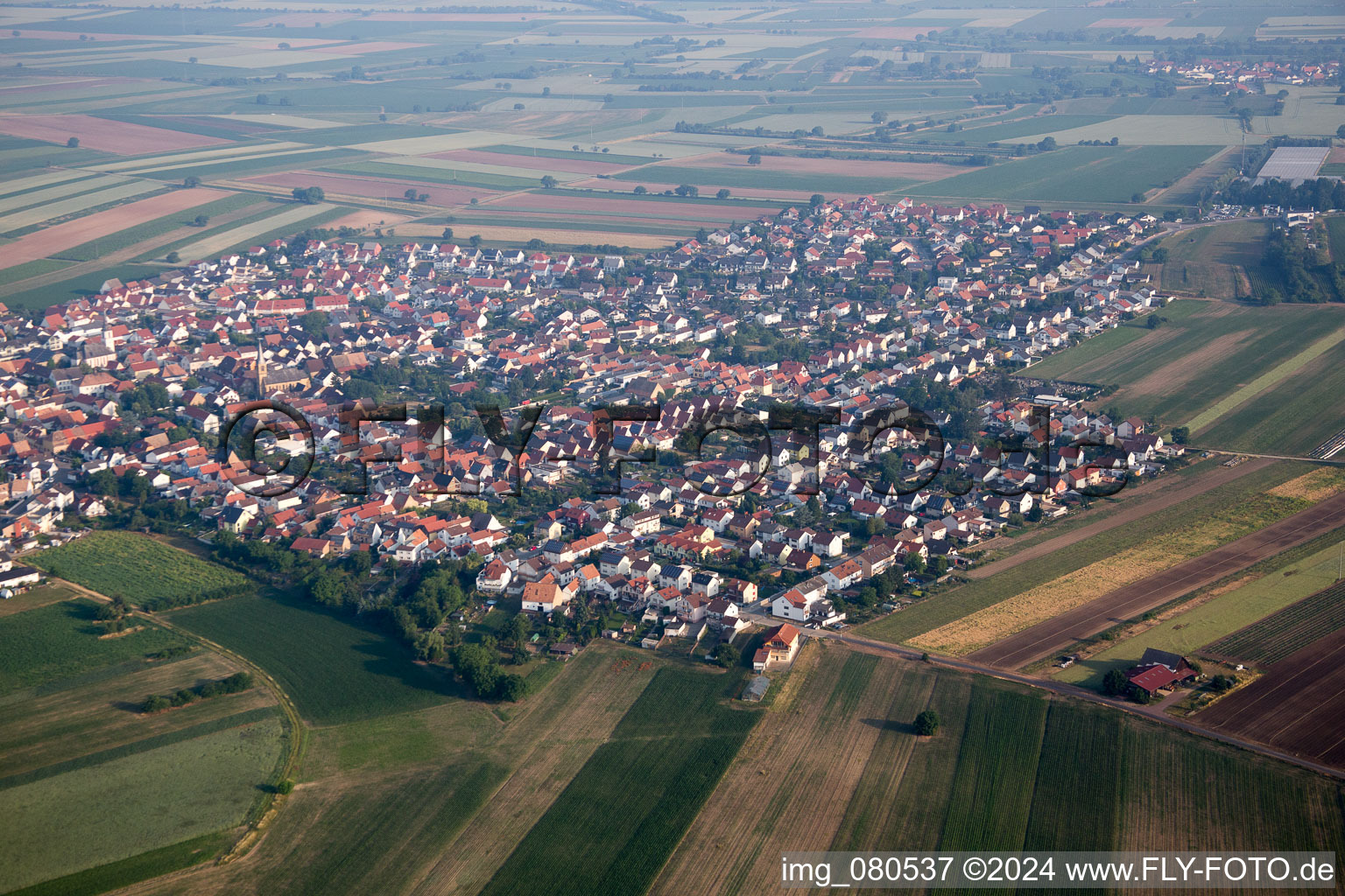 Vue aérienne de Quartier Mechtersheim in Römerberg dans le département Rhénanie-Palatinat, Allemagne