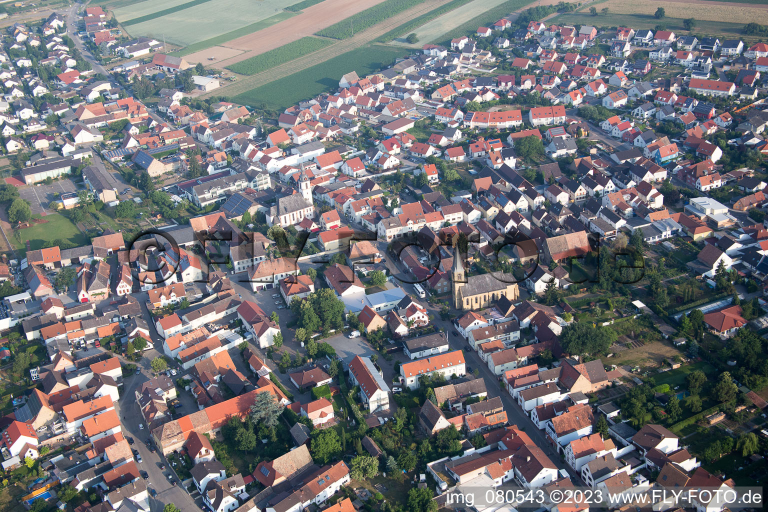 Vue oblique de Quartier Mechtersheim in Römerberg dans le département Rhénanie-Palatinat, Allemagne