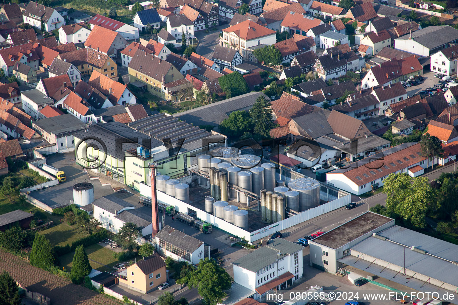 Vue aérienne de Bâtiments et halls de production à Lustadt dans le département Rhénanie-Palatinat, Allemagne