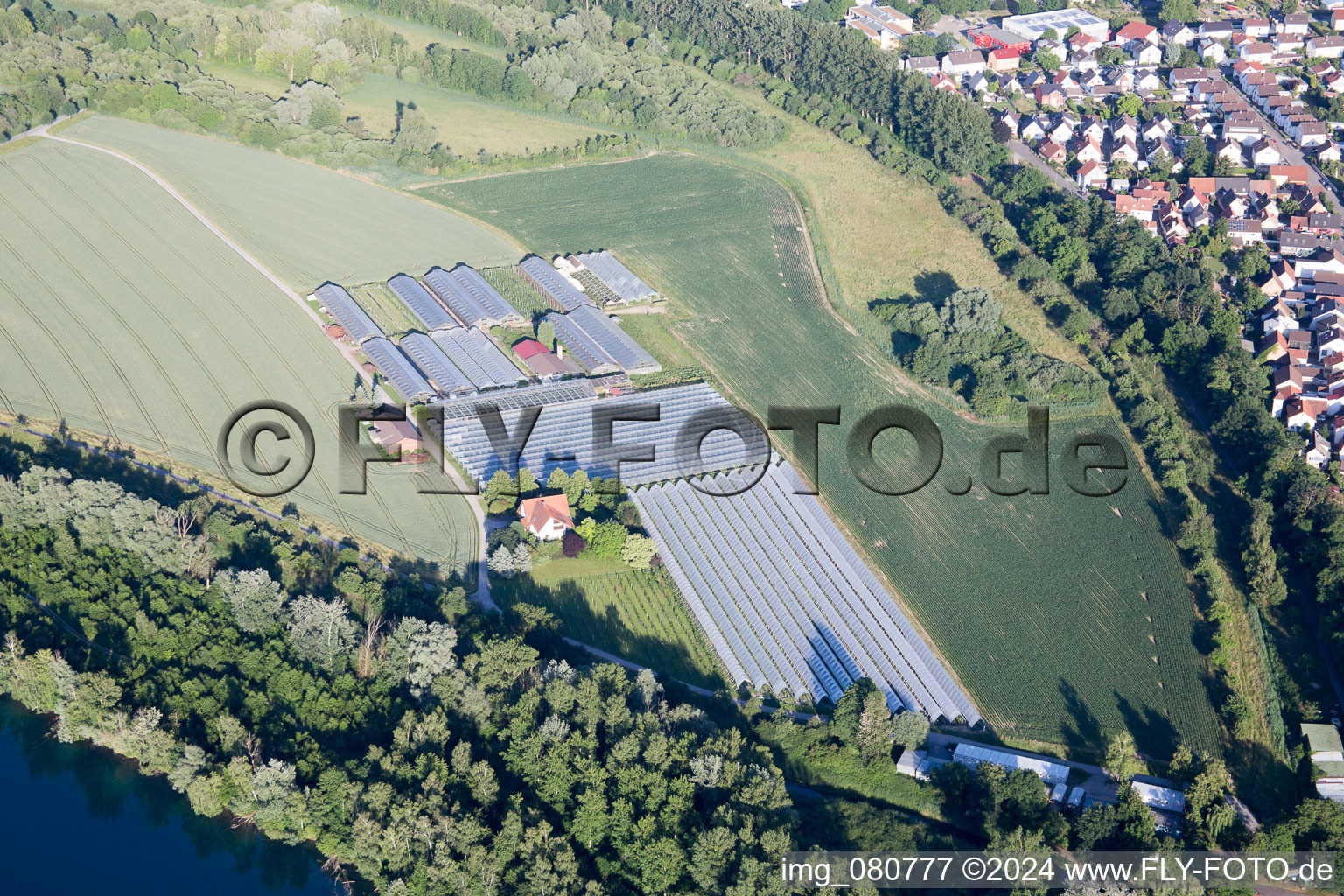 Vue aérienne de Quartier Leopoldshafen in Eggenstein-Leopoldshafen dans le département Bade-Wurtemberg, Allemagne