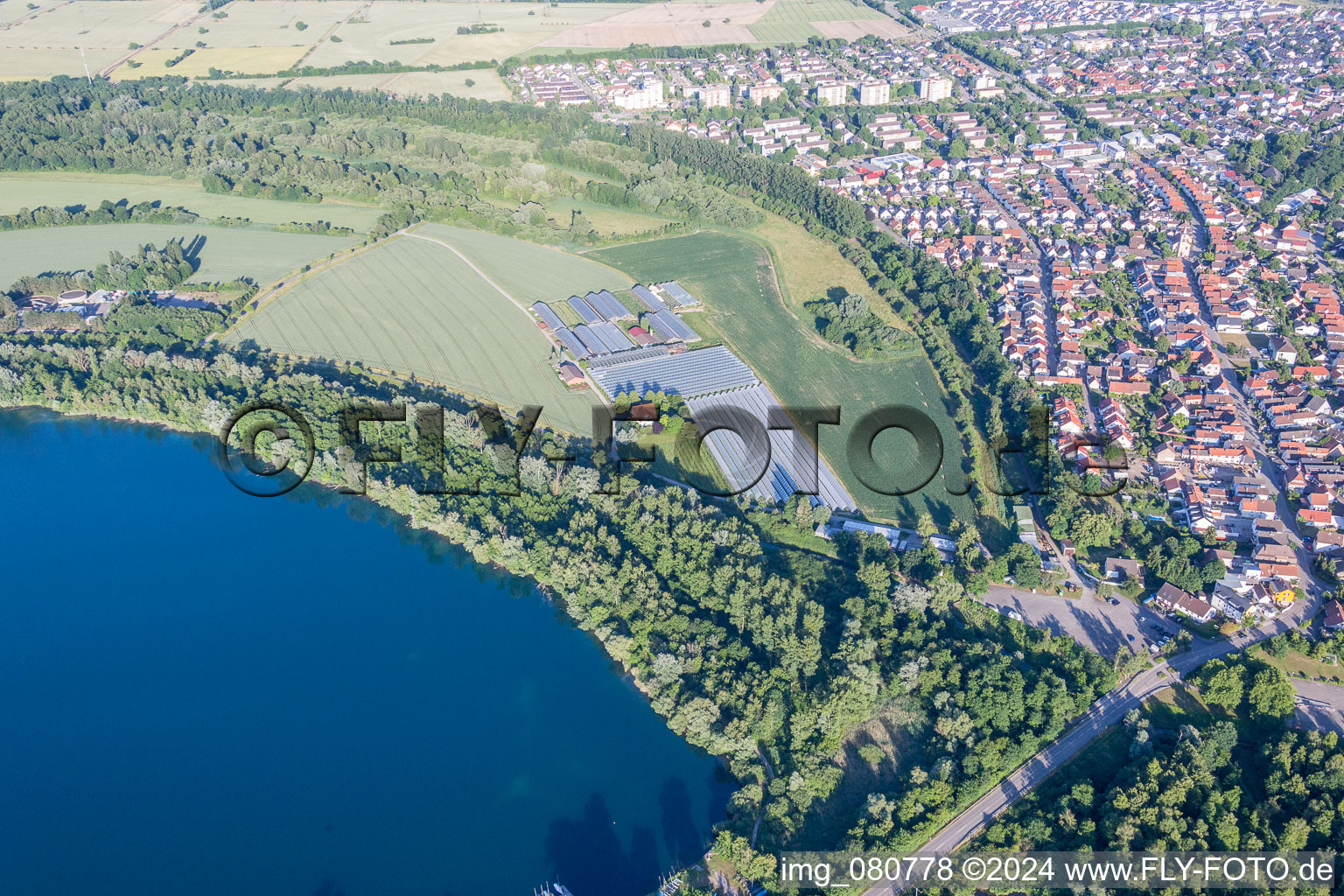 Vue aérienne de Verrières dans les rangées de serres pour la culture de légumes en bordure de gravière à le quartier Leopoldshafen in Eggenstein-Leopoldshafen dans le département Bade-Wurtemberg, Allemagne