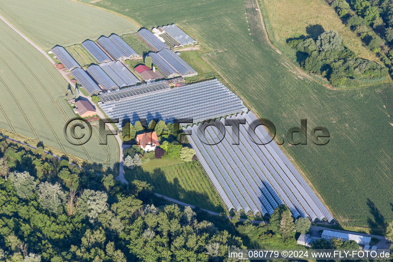 Vue aérienne de Verrières dans les rangées de serres pour la culture de légumes en bordure de gravière à le quartier Leopoldshafen in Eggenstein-Leopoldshafen dans le département Bade-Wurtemberg, Allemagne