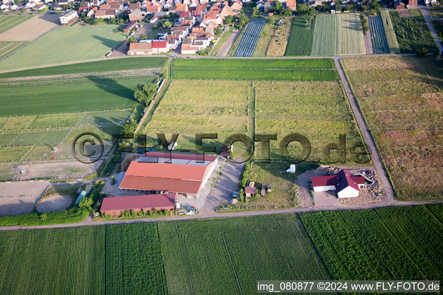 Hatzenbühl dans le département Rhénanie-Palatinat, Allemagne vue du ciel