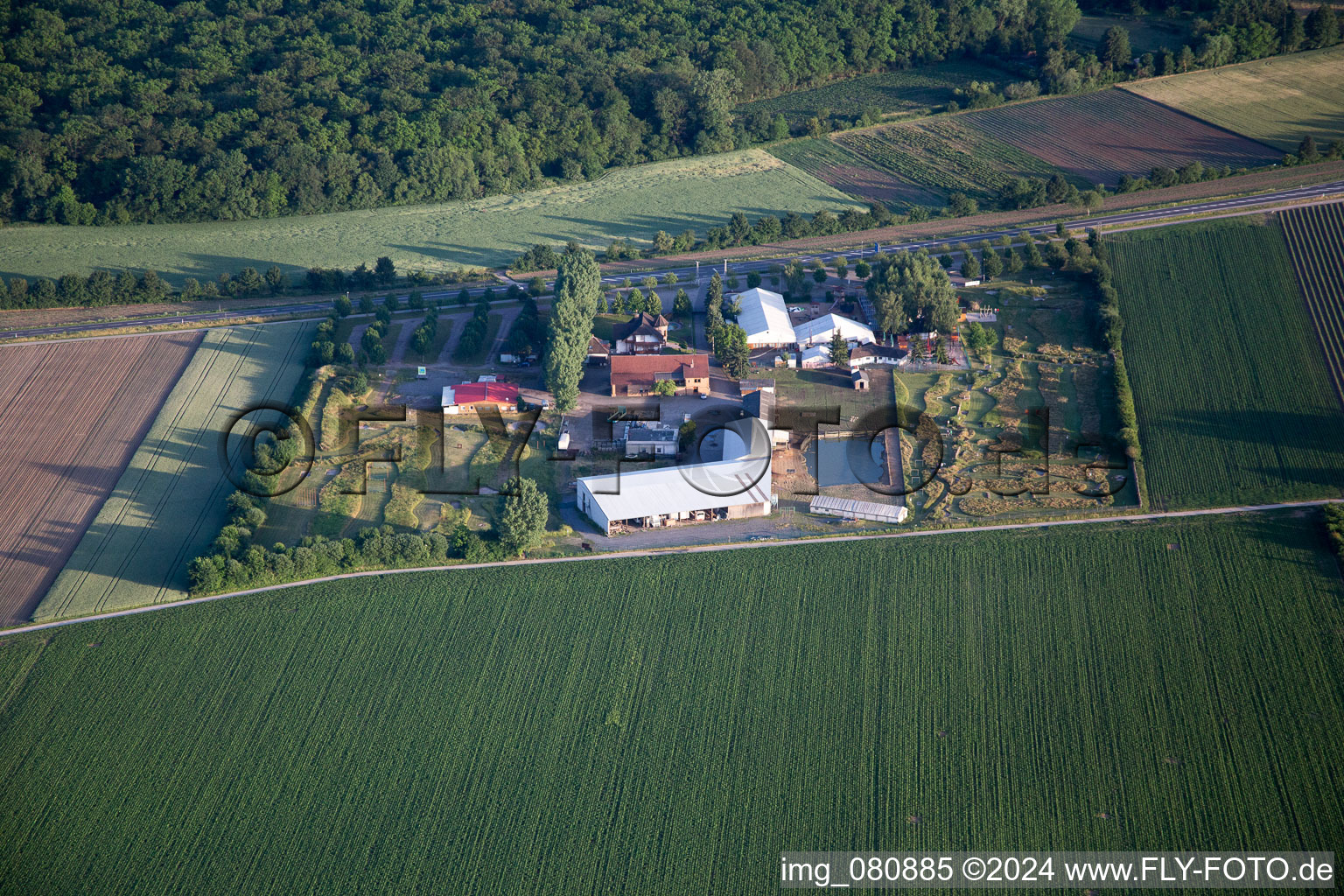 Hatzenbühl dans le département Rhénanie-Palatinat, Allemagne vu d'un drone