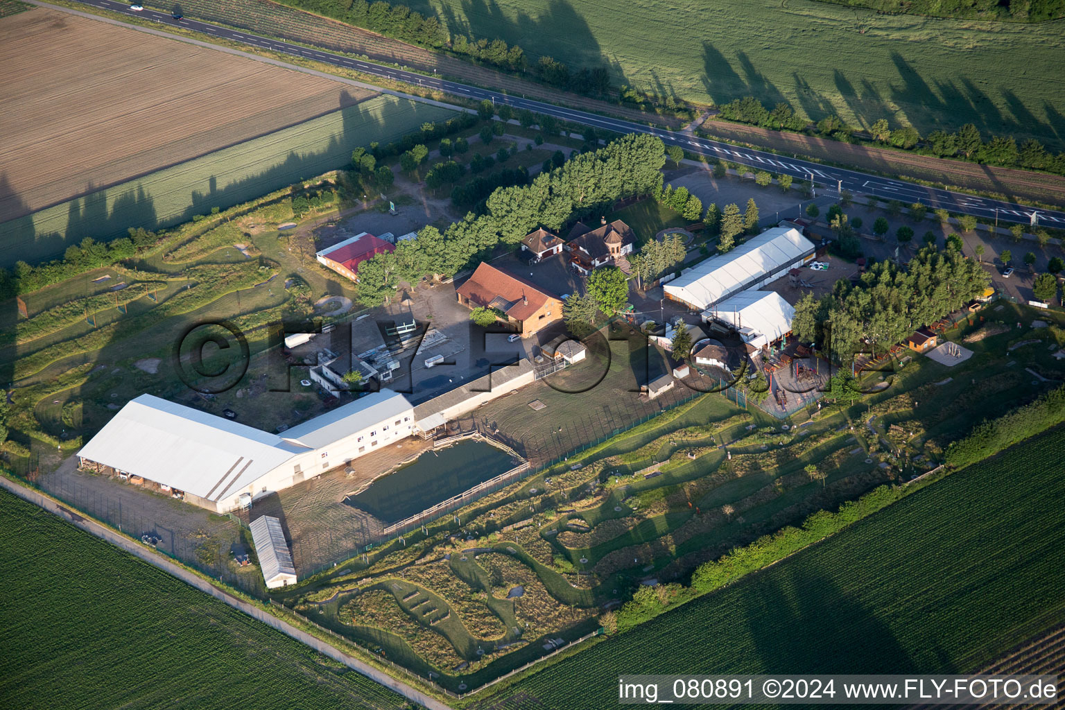 Vue aérienne de Tente du restaurant en plein air Adamshof et parcours de foot Kandel à Kandel dans le département Rhénanie-Palatinat, Allemagne