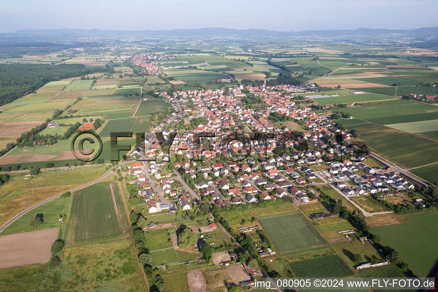 Vue aérienne de Vue des rues et des maisons des quartiers résidentiels à Minfeld dans le département Rhénanie-Palatinat, Allemagne