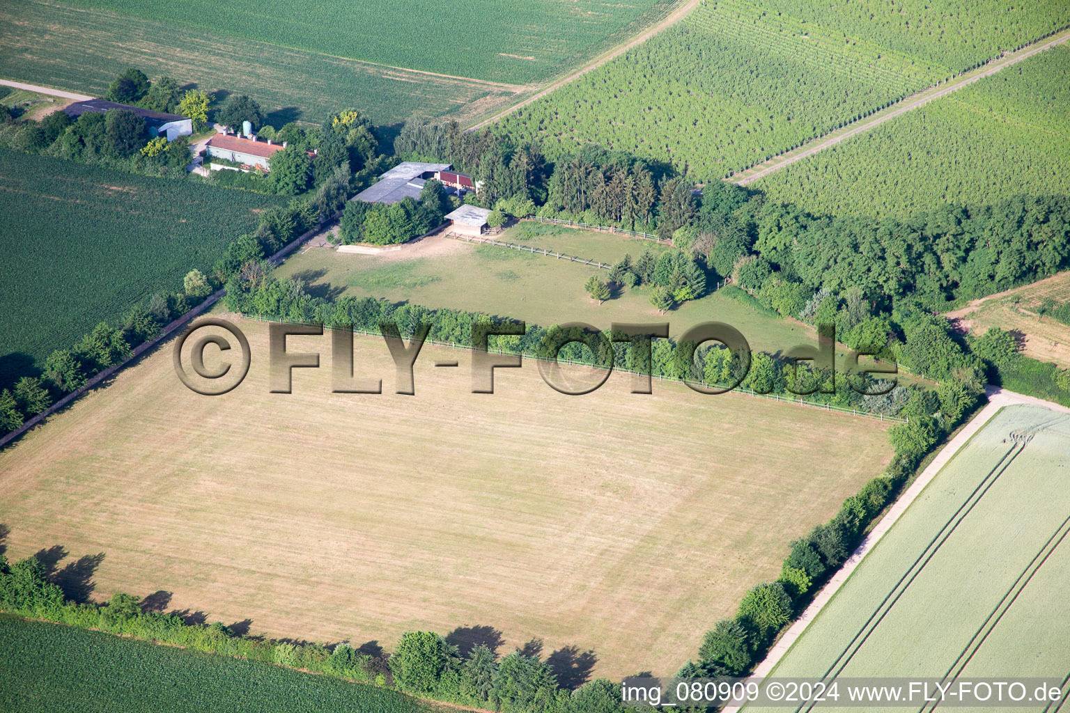 Vue oblique de Galgenberg à Minfeld dans le département Rhénanie-Palatinat, Allemagne